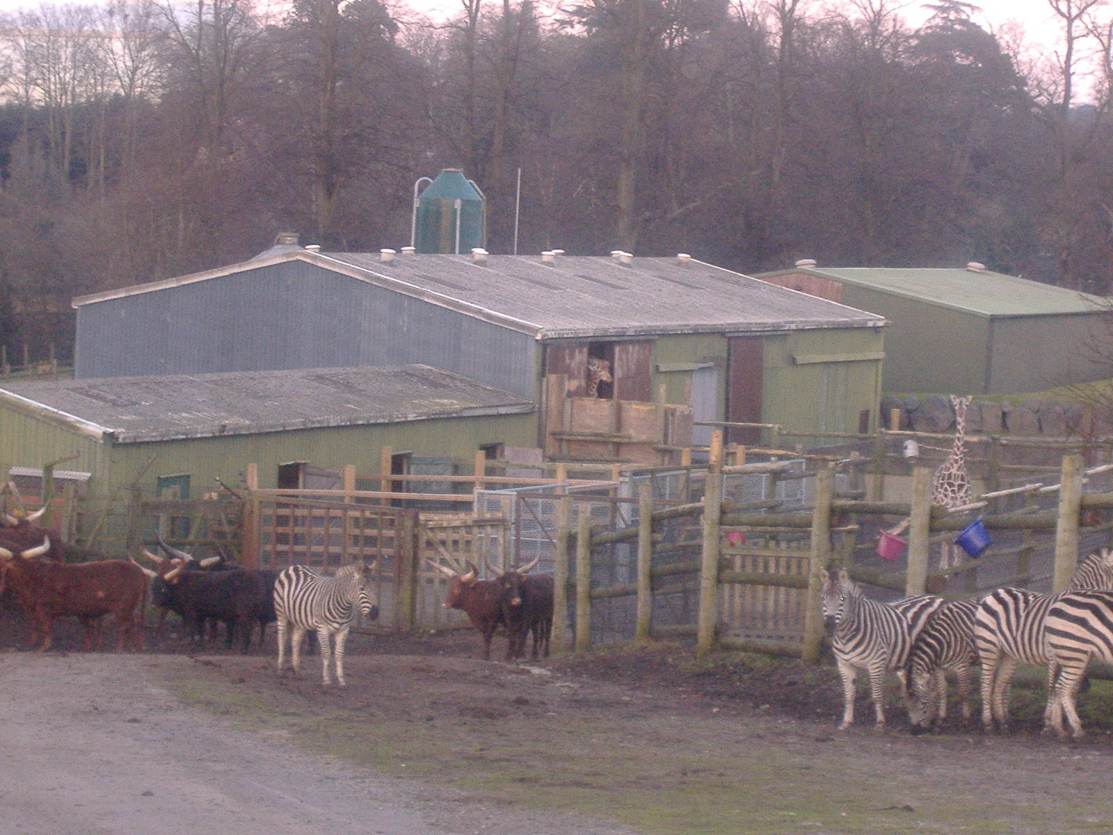 West Midlands February 2008