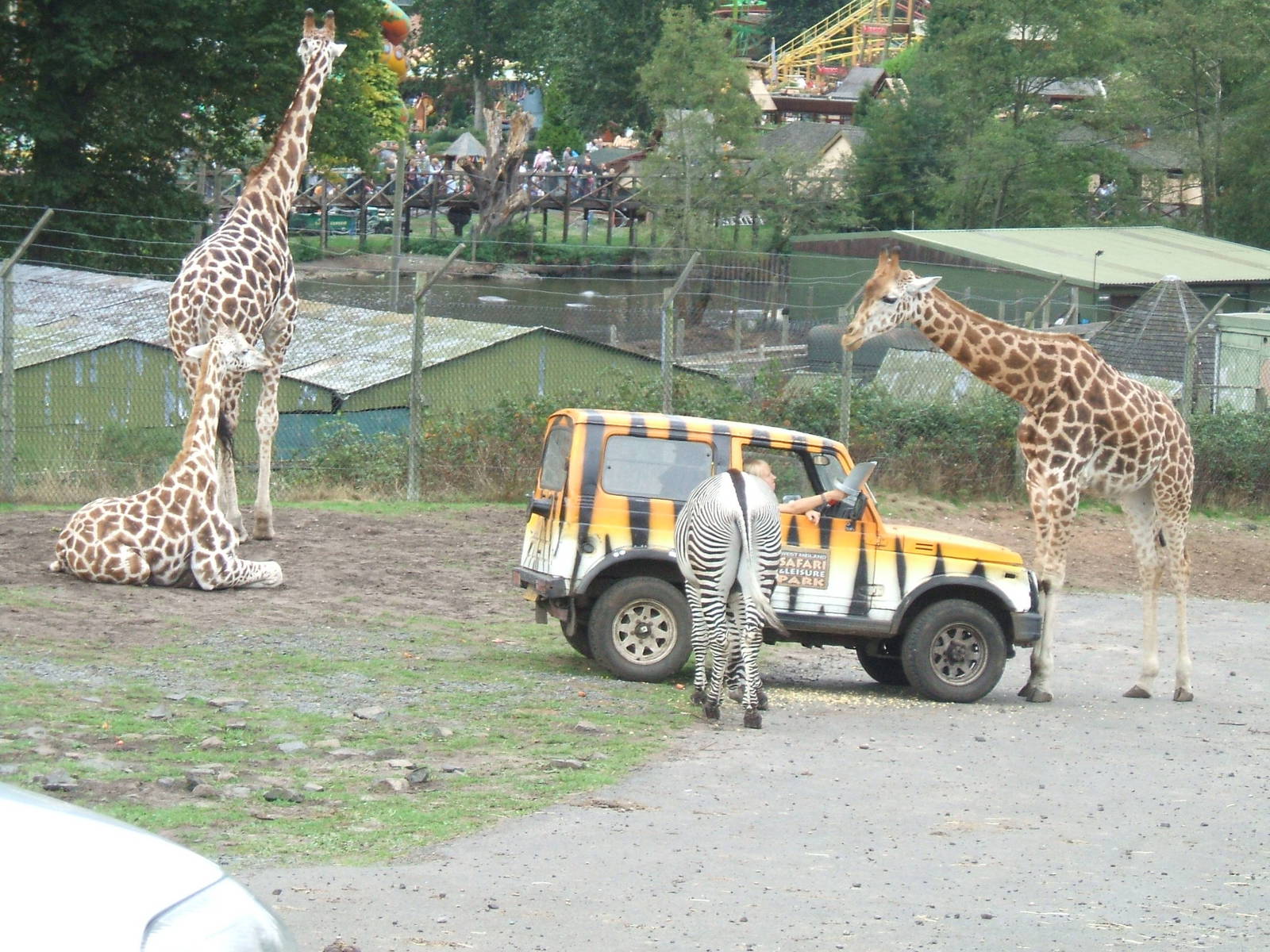 West Midlands Safari Park
