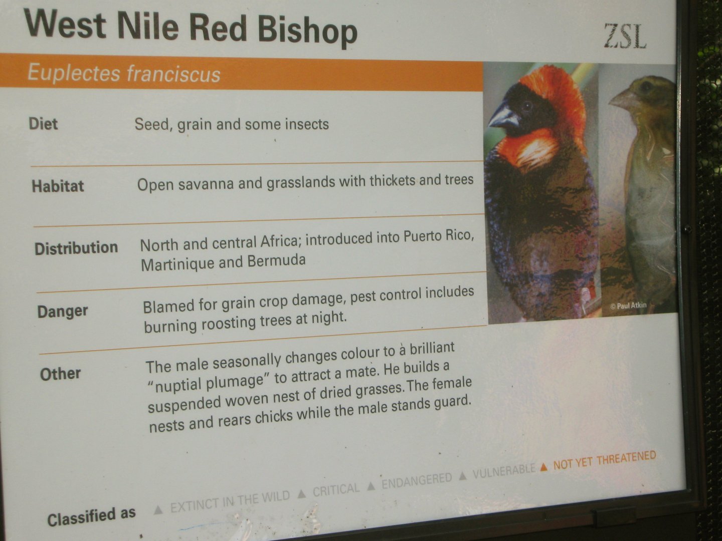 West Nile Red Bishop Sign