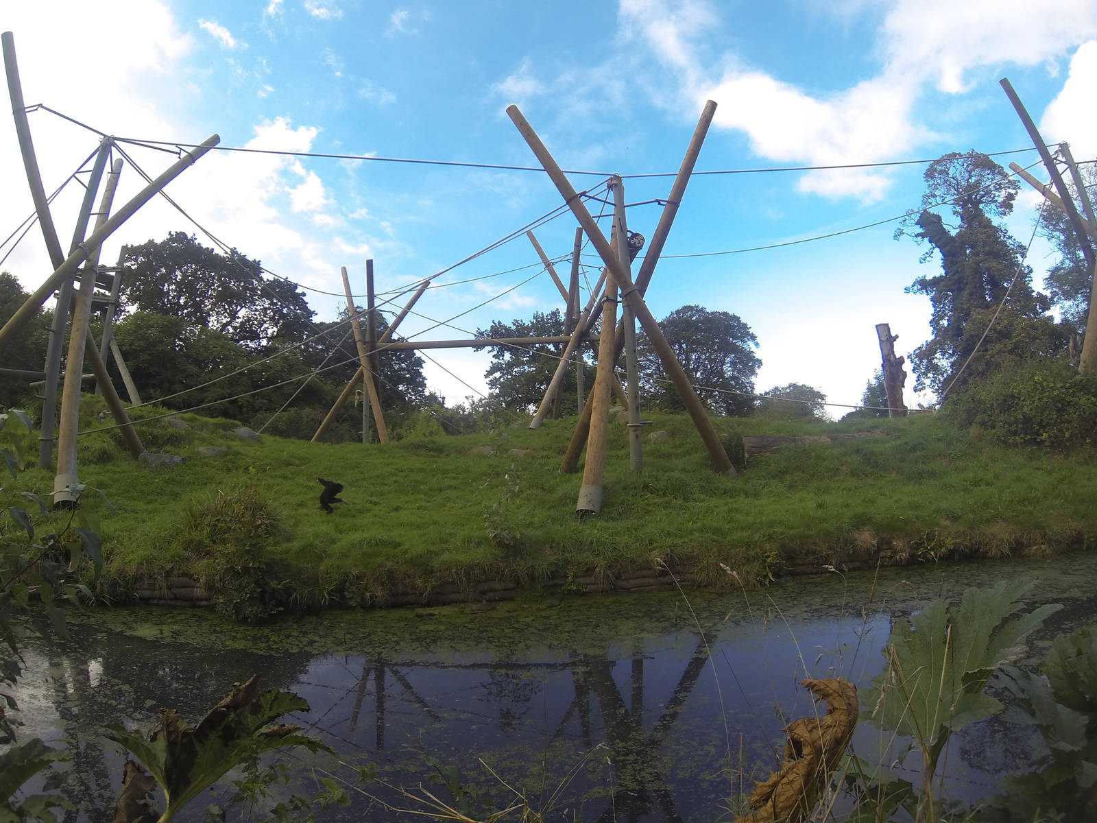 West orang island from peninsula