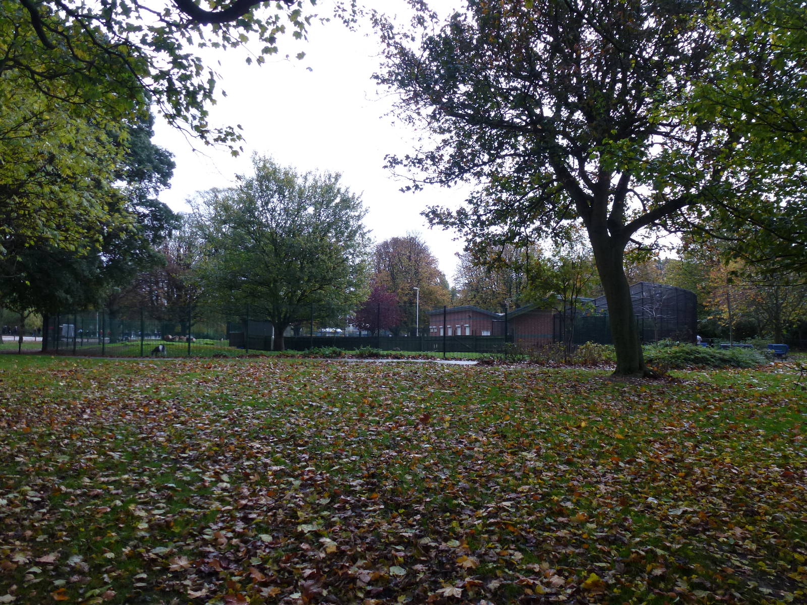 West park animal complex, November 2013.