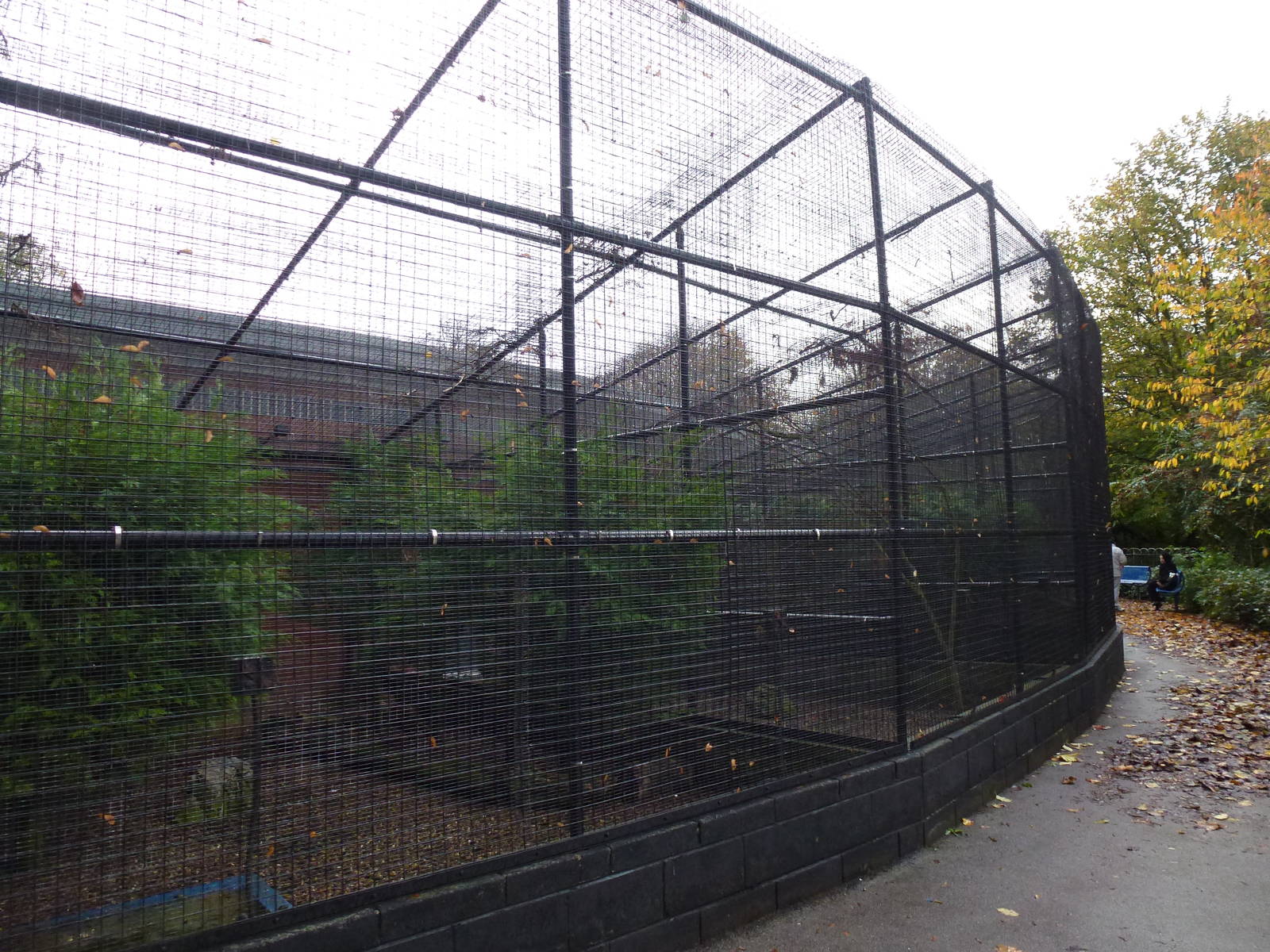 West Park aviaries, November 2013.