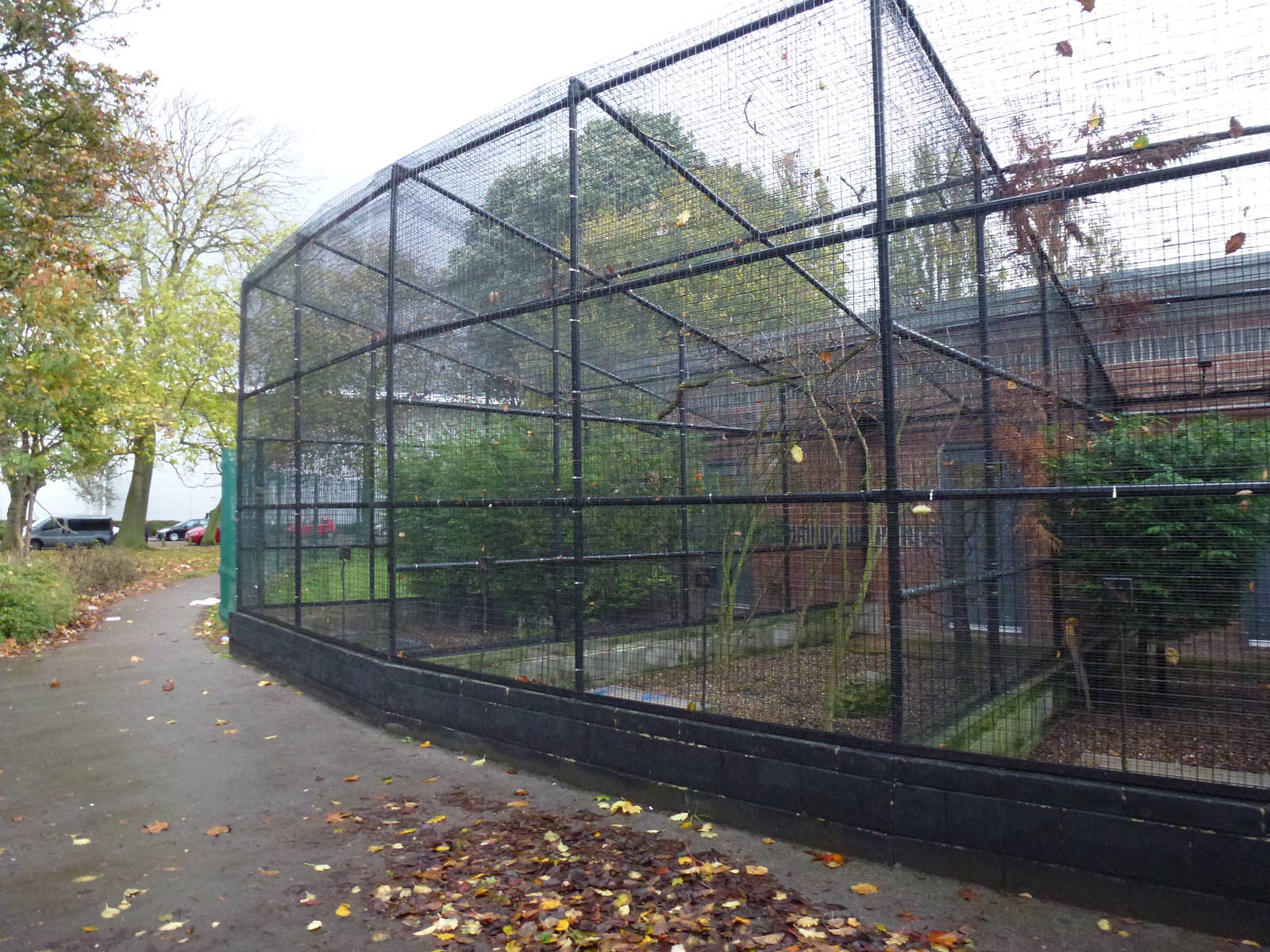 West park aviaries, November 2013.