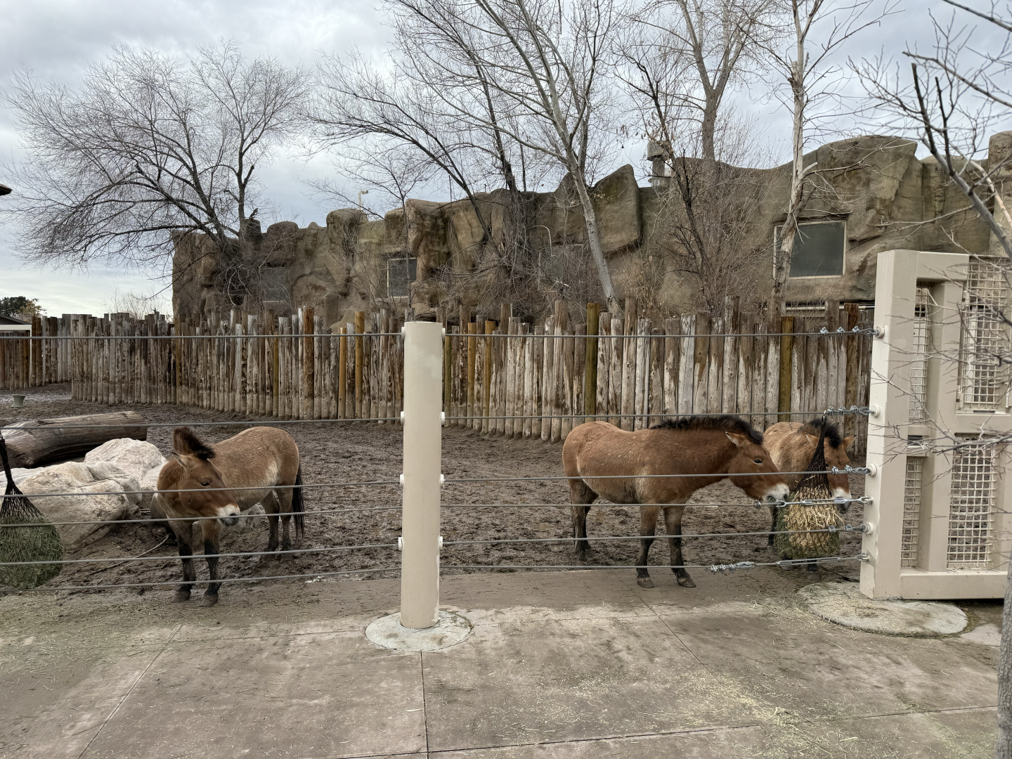 West Yard - High Desert Oasis