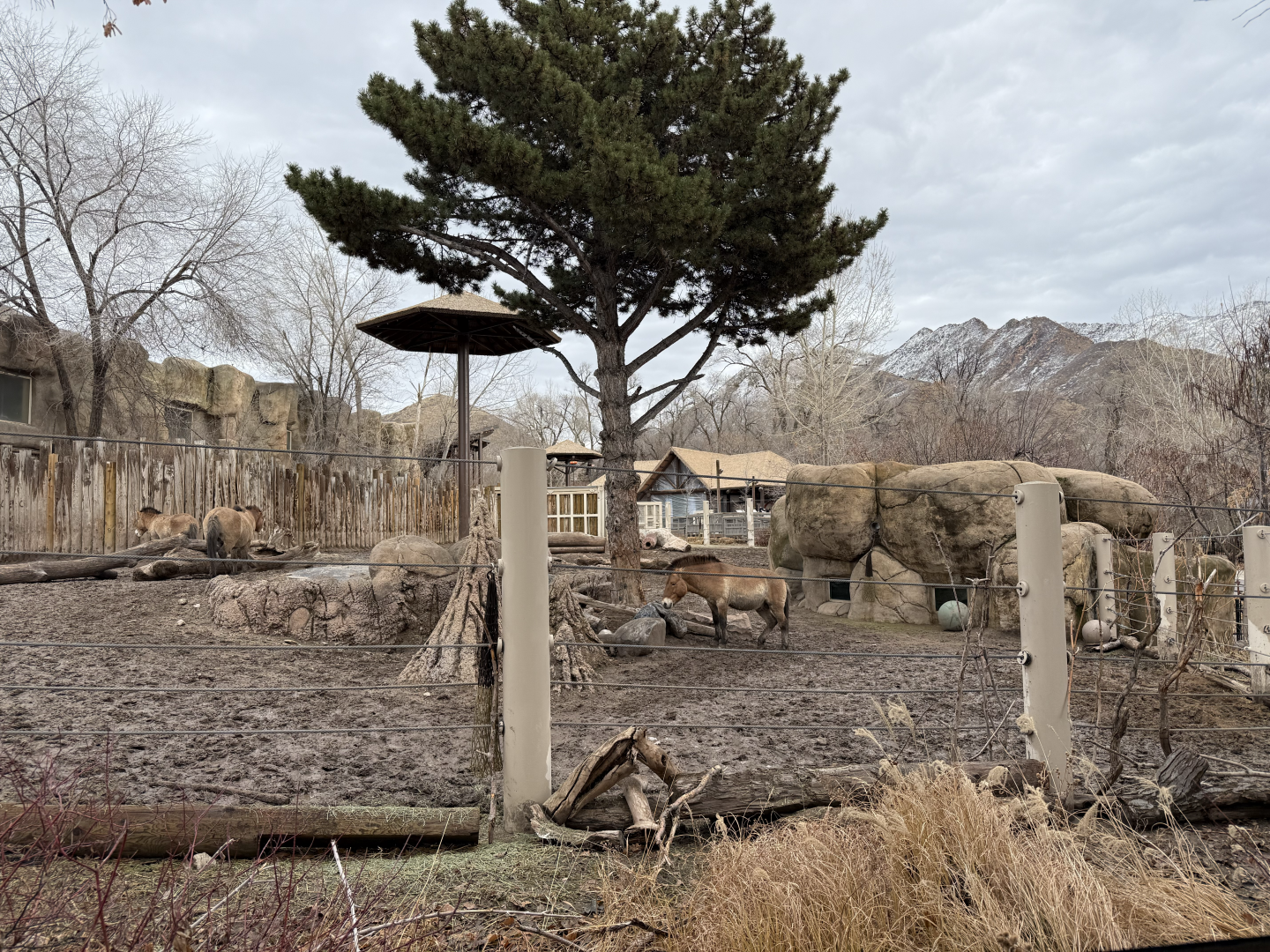 West Yard - High Desert Oasis