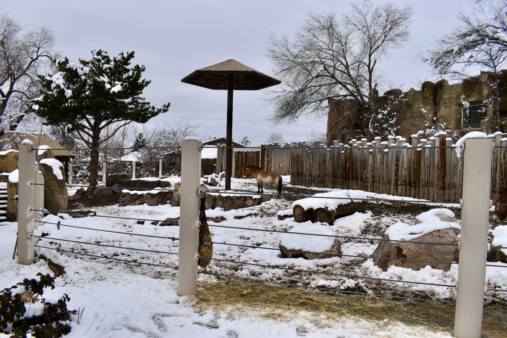 West Yard - High Desert Oasis