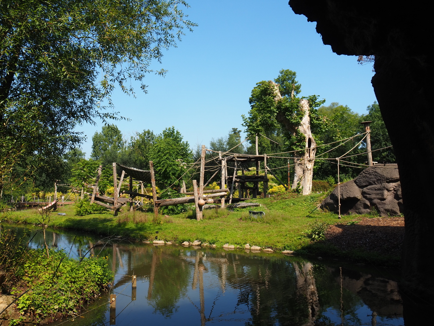 Westerland lowland gorilla and Black-crested mangabey island, 2021-09-02