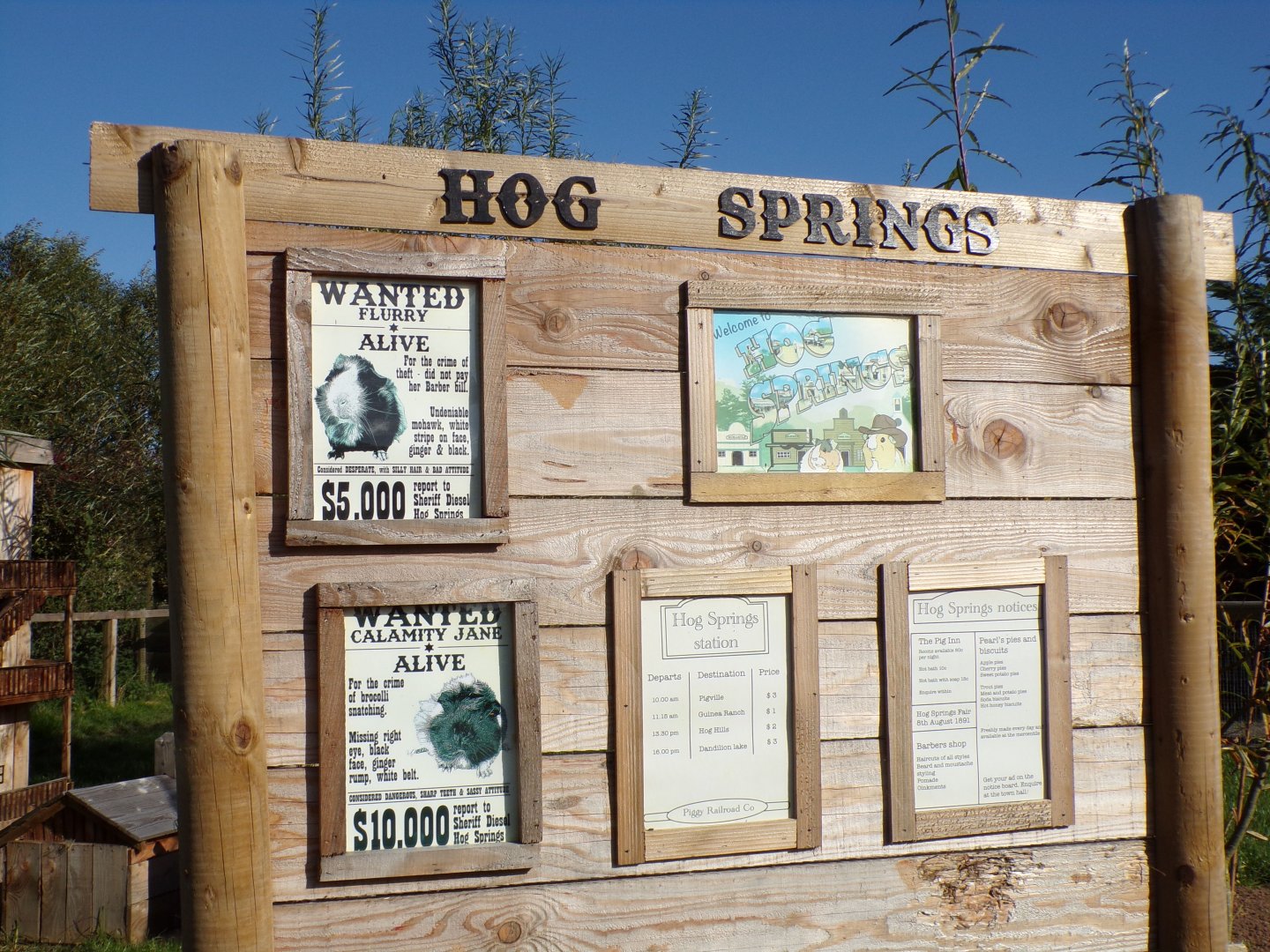 Western American notice board in guniea pig enclosure 14.10.23