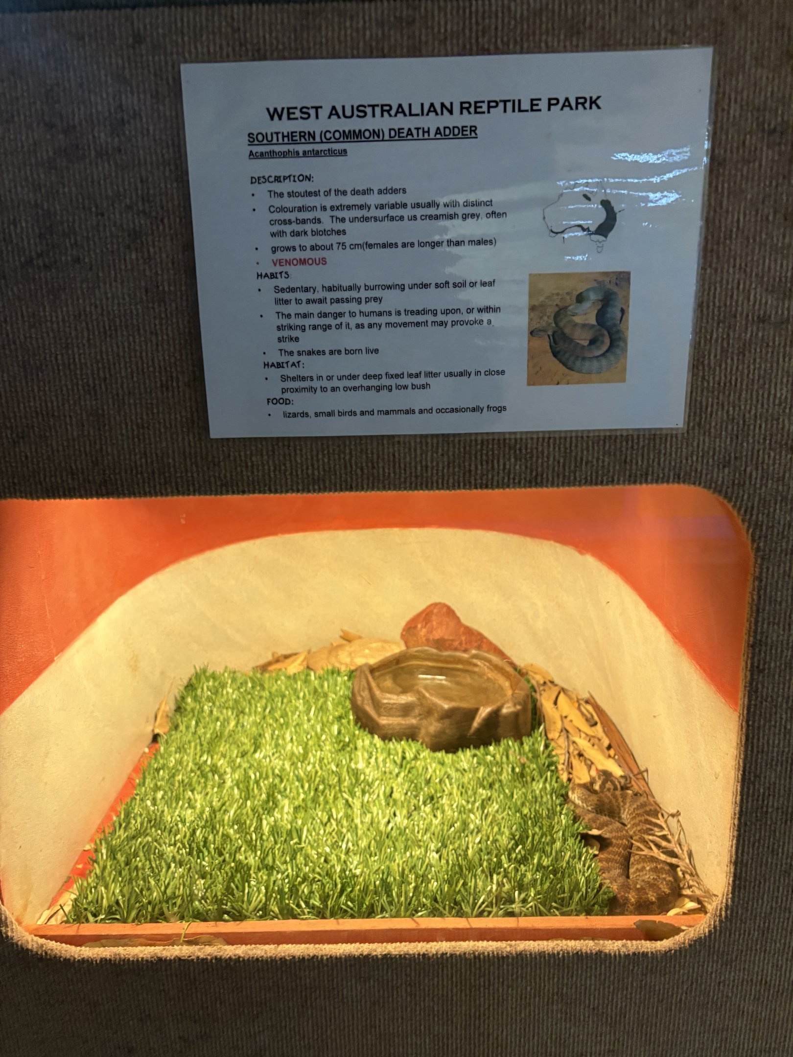 Western Australia Reptile Park - July 2025