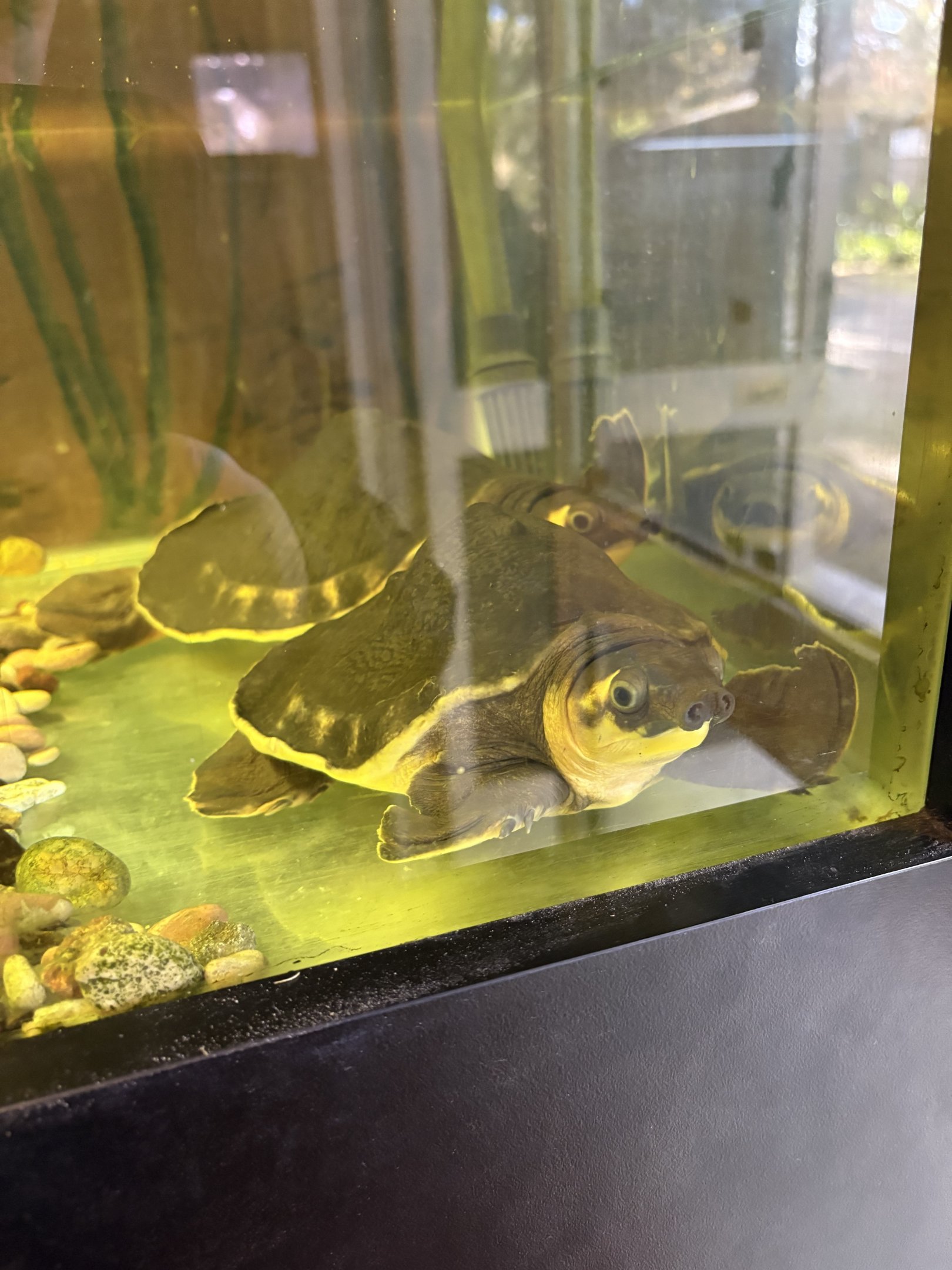 Western Australia Reptile Park - July 2025