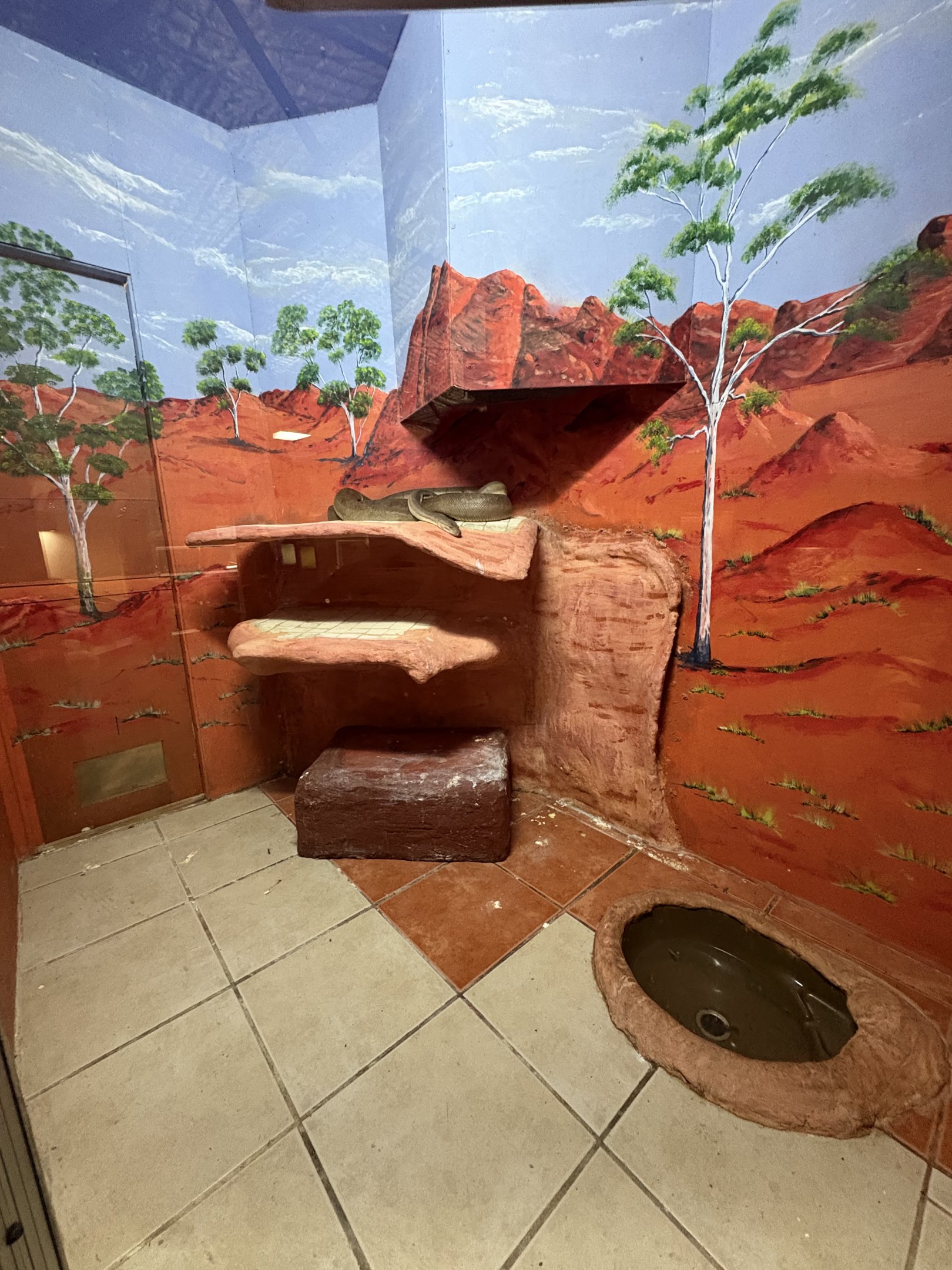 Western Australia Reptile Park - July 2025