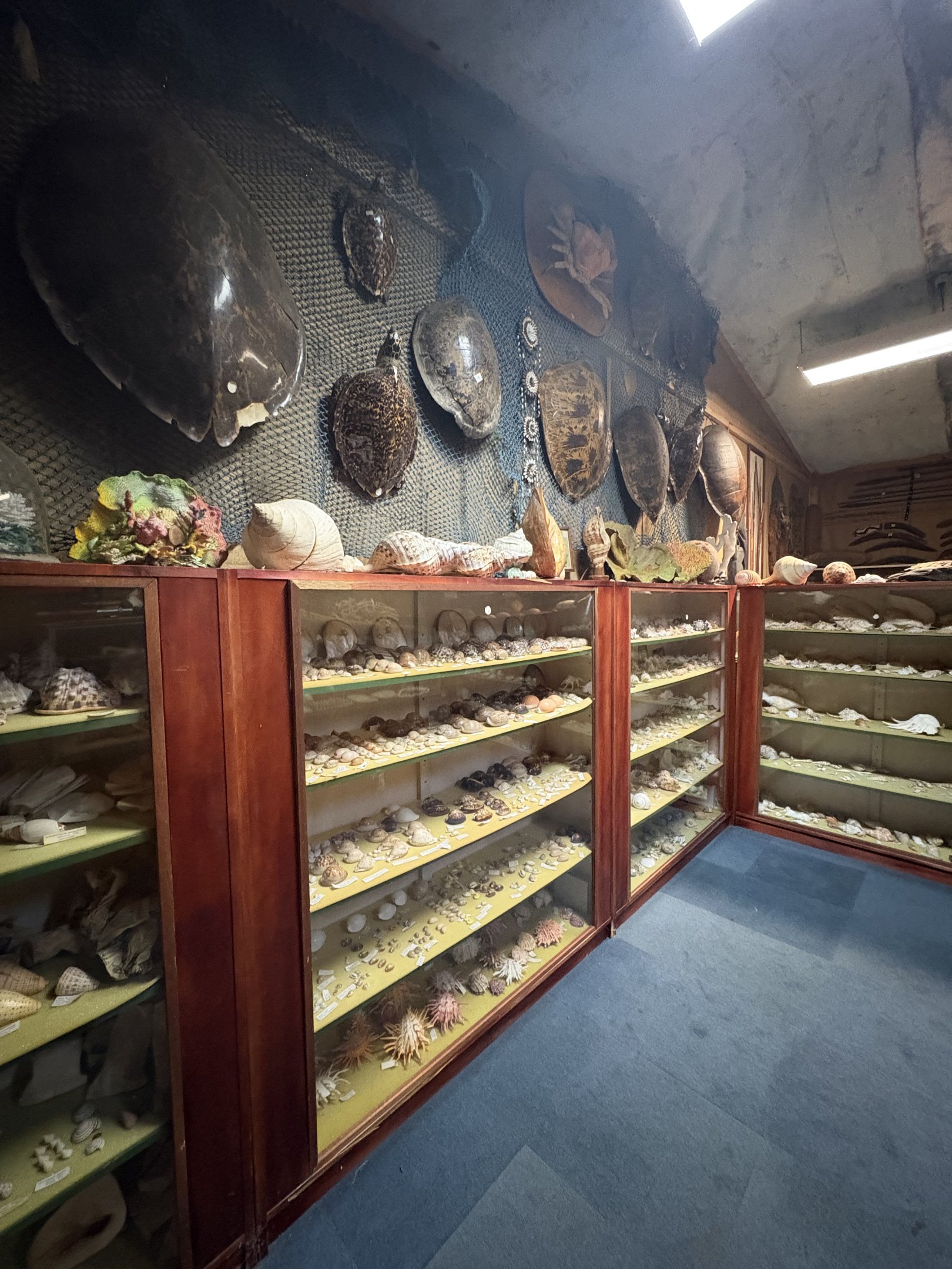 Western Australia Reptile Park - July 2025