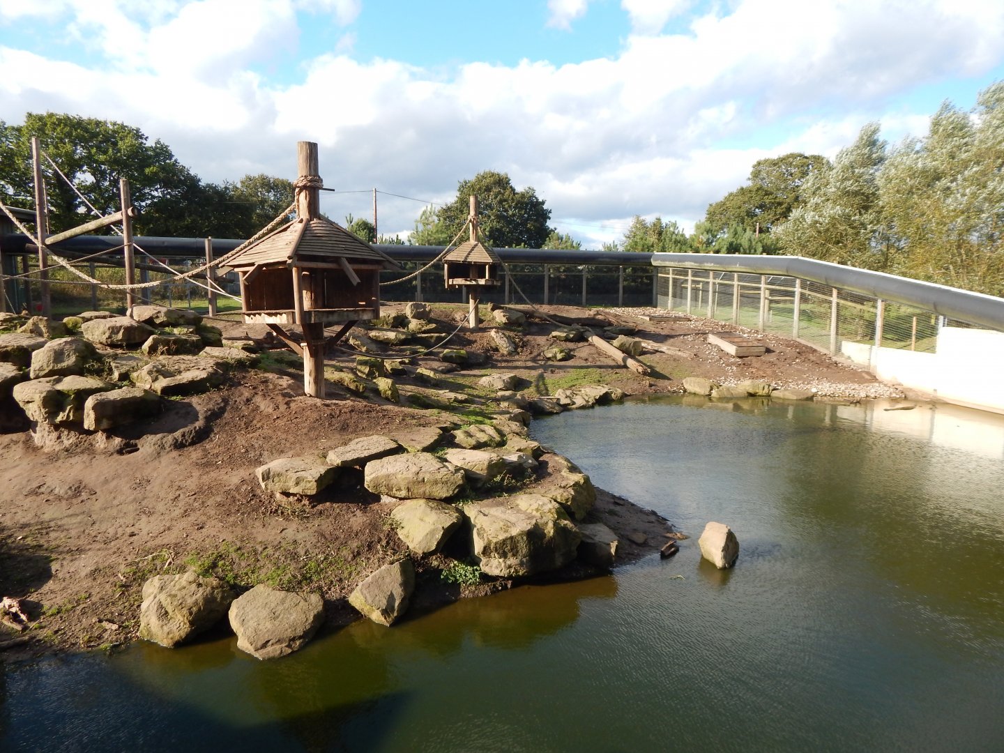 Western baboon habitat 121024