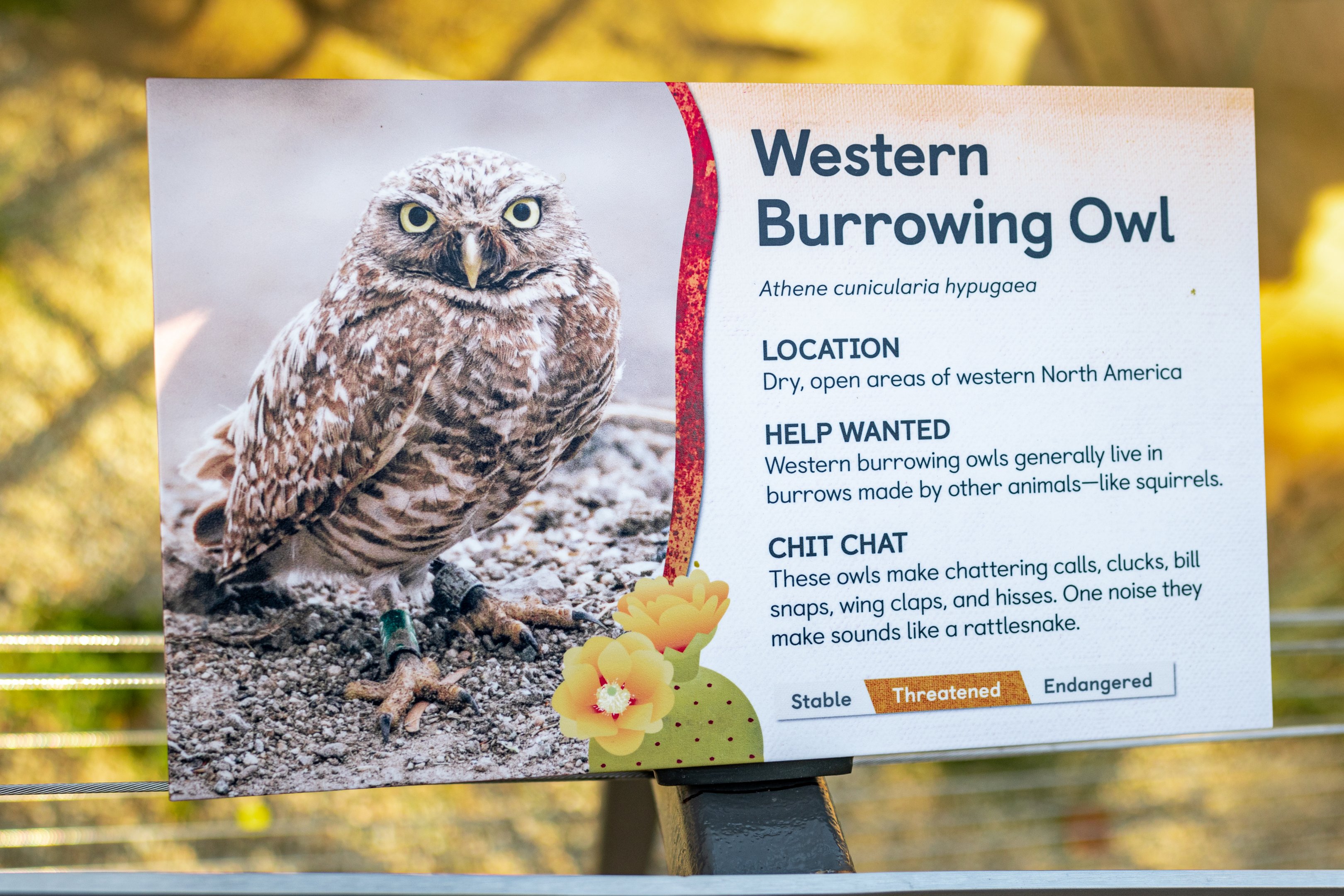 Western Burrowing Owl Signage