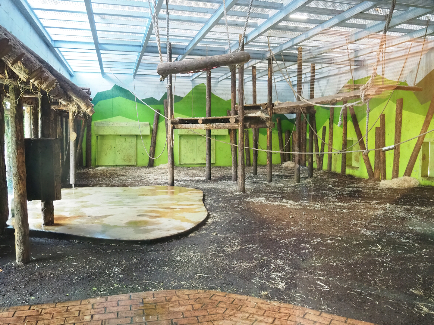 Western chimpanzee indoor housing, 2023-04-30