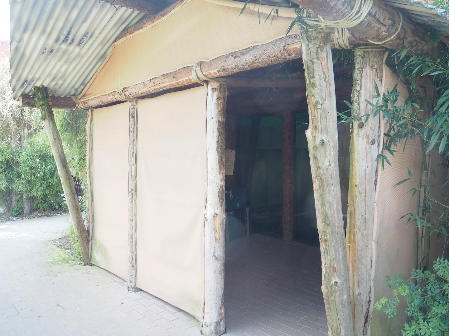 Western chimpanzee indoor viewing area, 2023-04-30