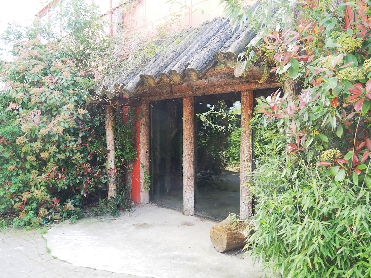 Western chimpanzee indoor viewing area, 2023-04-30