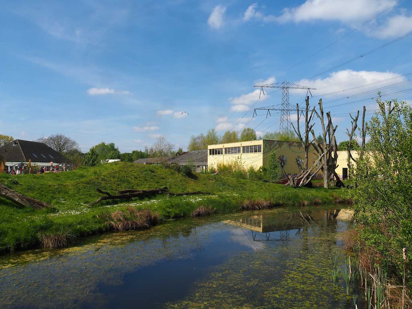 Western chimpanzee island, 2023-04-30