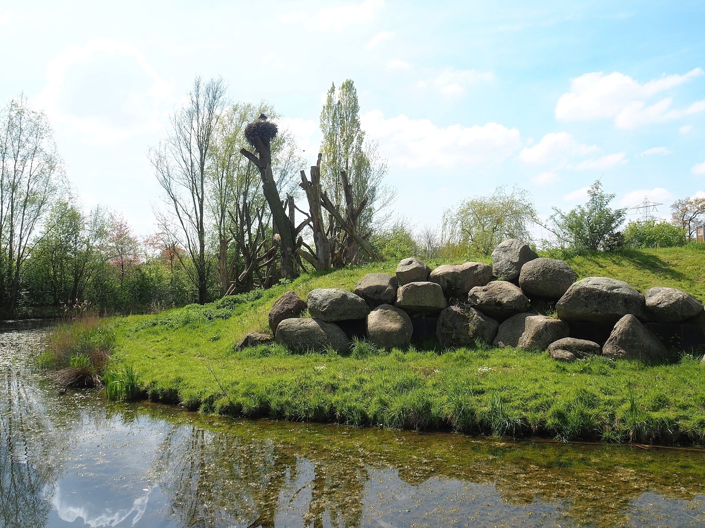 Western chimpanzee island, 2023-04-30