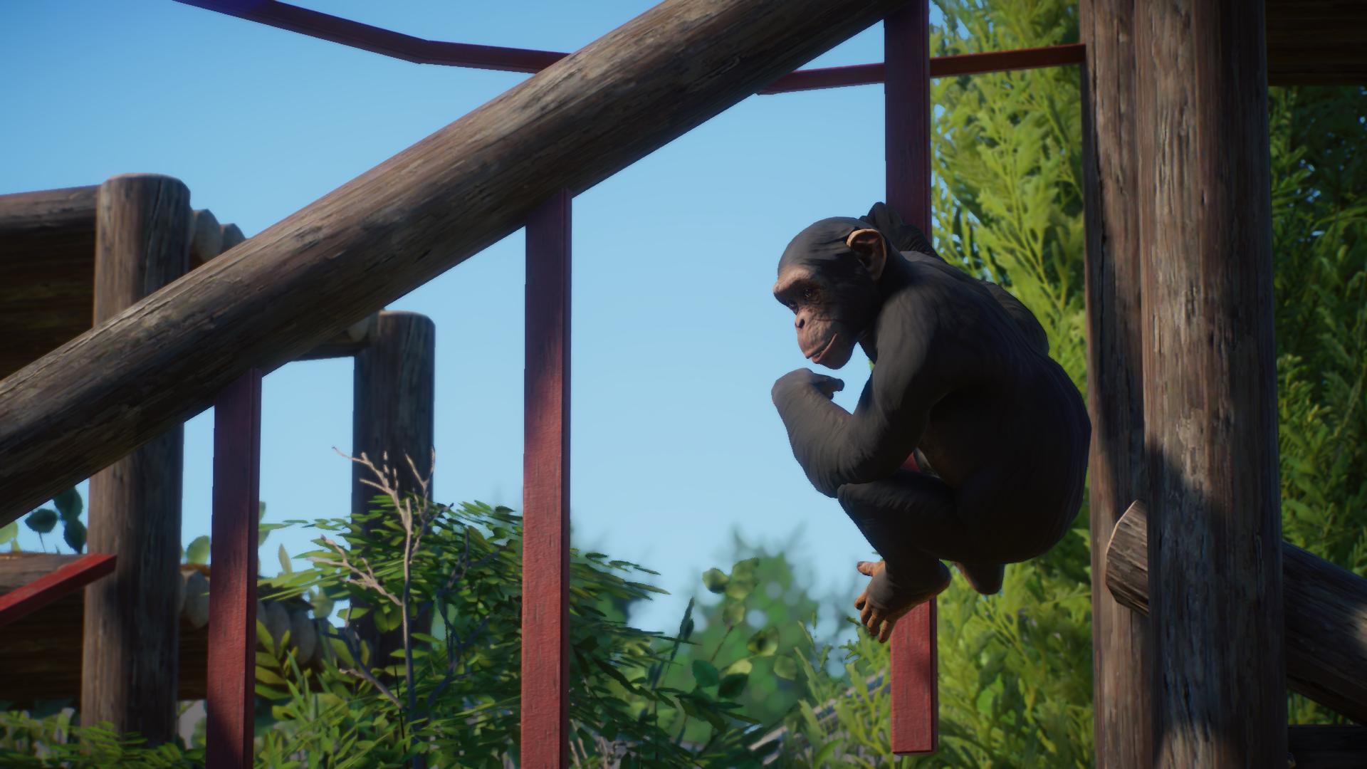 Western Chimpanzee (Planet Zoo)