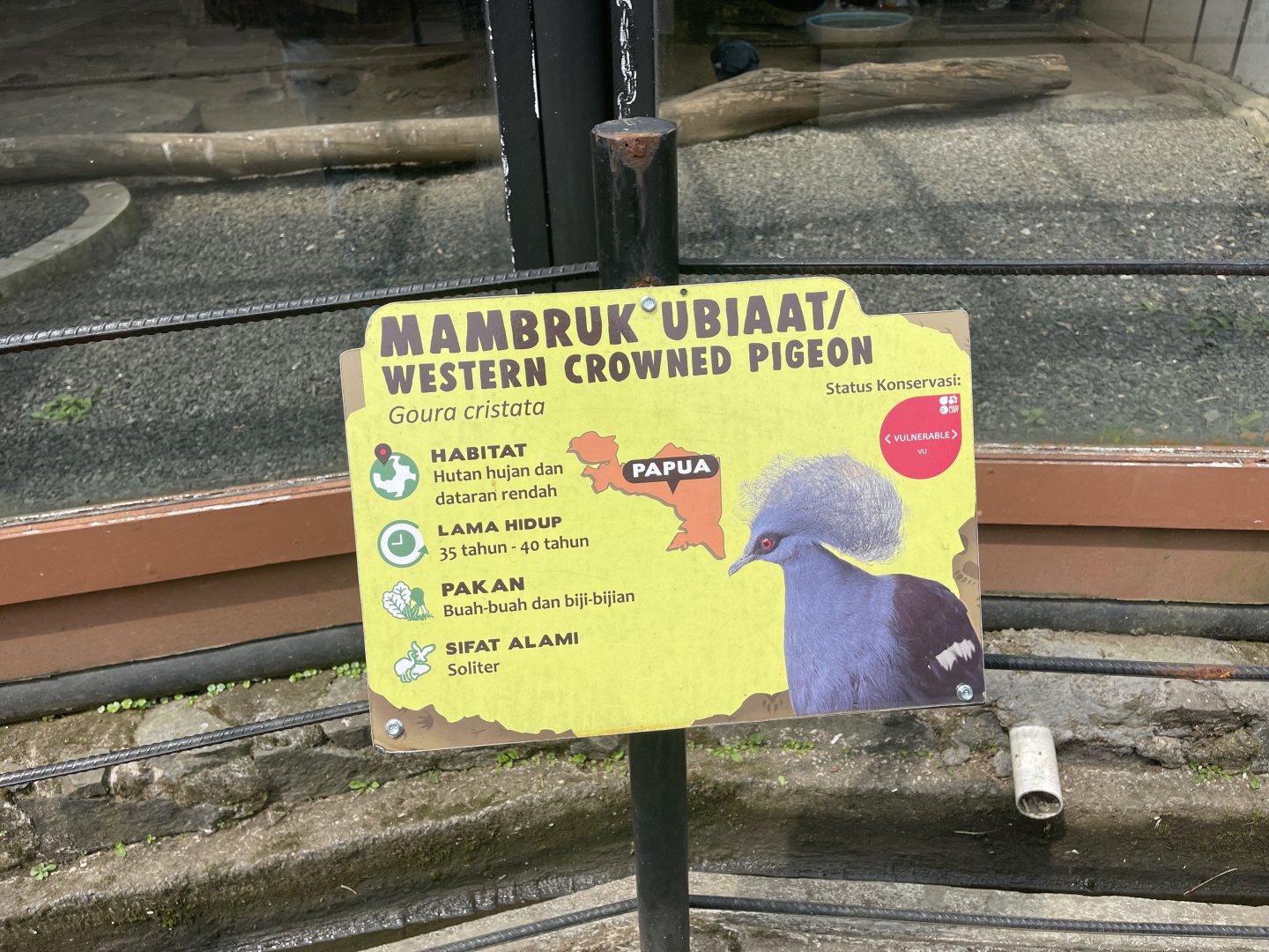 western crowned pigeon signage