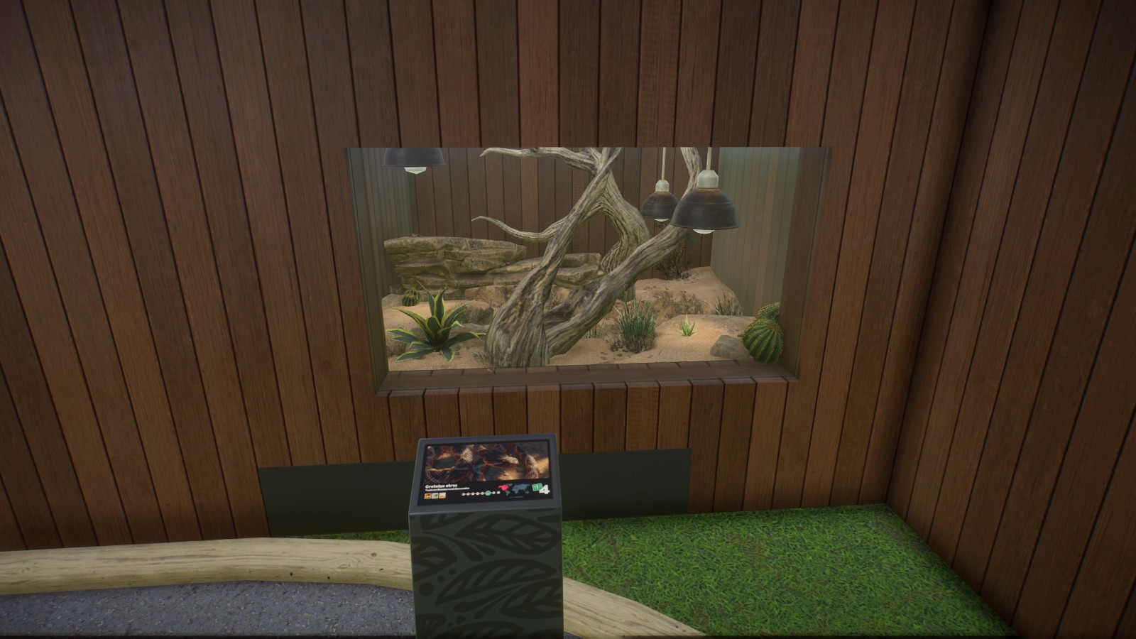 Western Diamondback Rattlesnake Enclosure