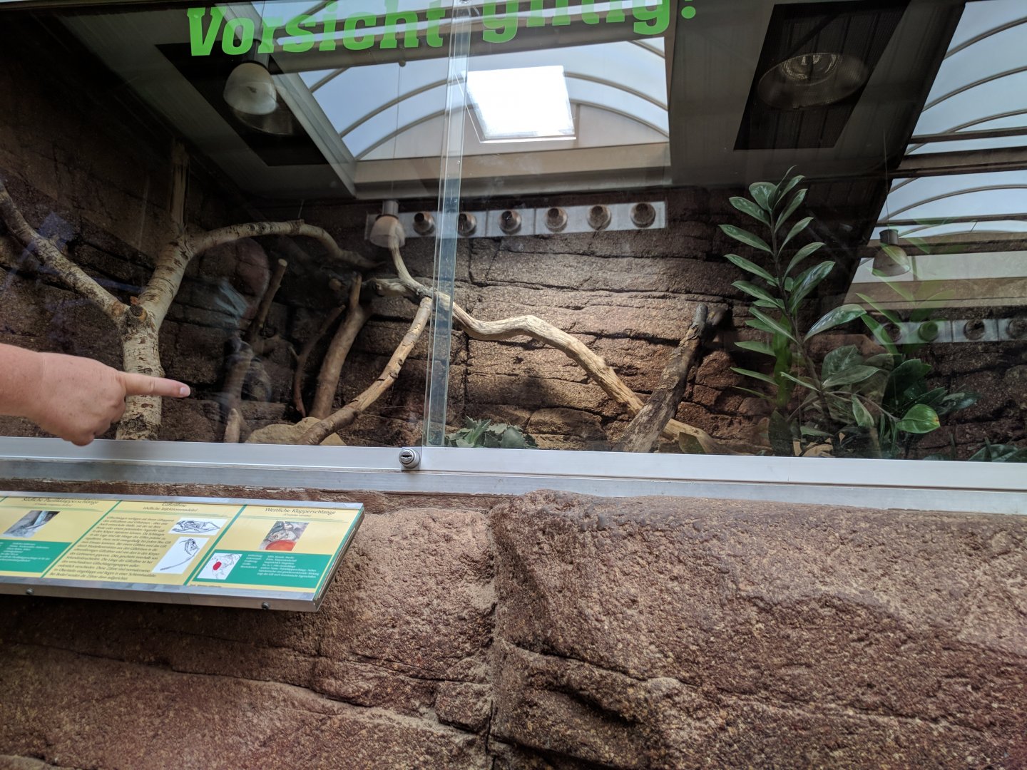 Western Diamondback Rattlesnake Enclosure