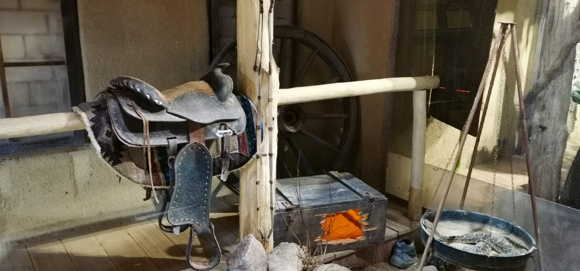 Western Diamondback Rattlesnake exhibit