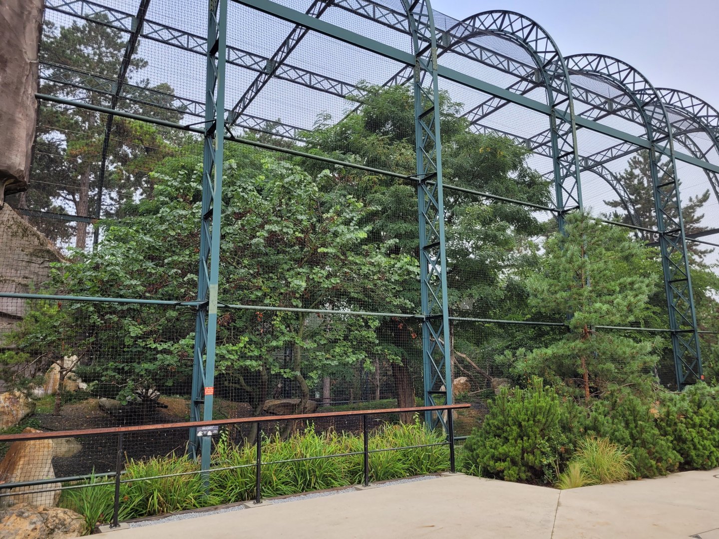 Western Eurasian griffon vulture and Egyptian vulture exhibit -Parc Zoologique de Paris (2022)