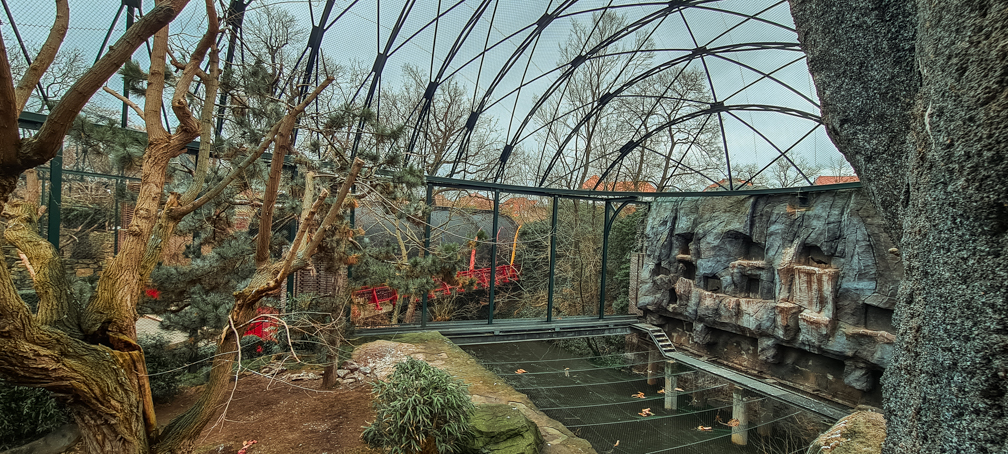 Western eurasian griffon vulture aviary above river