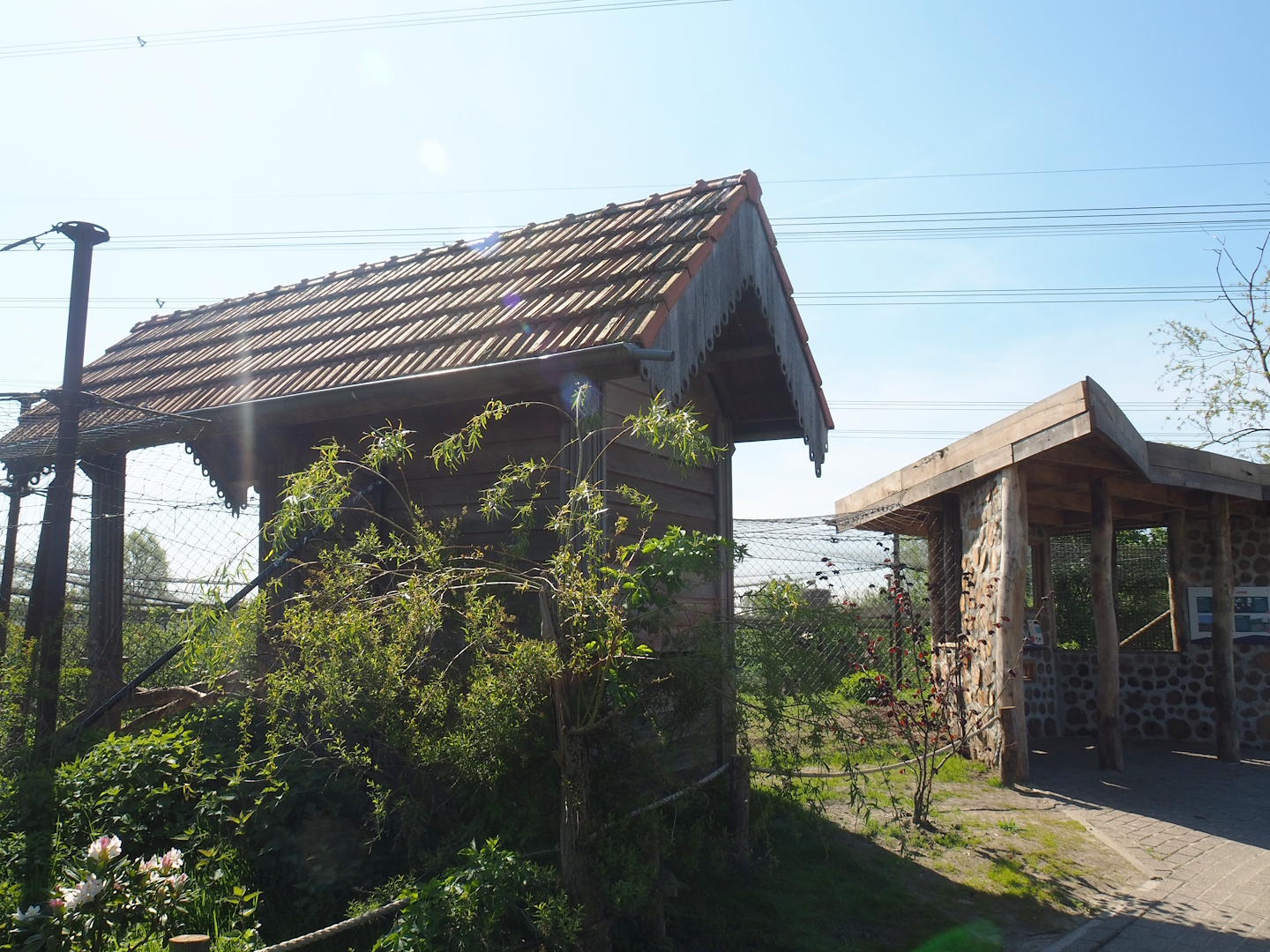 Western Eurasian griffon vulture aviary viewing area and vulture barn, 2023-04-30