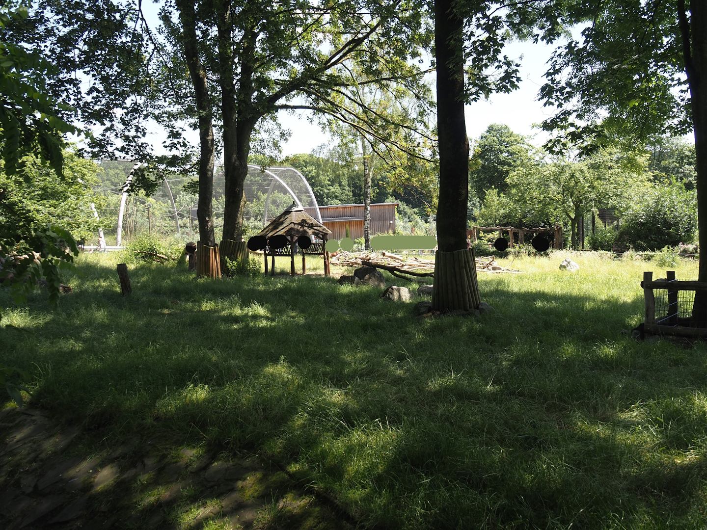 Western Eurasian griffon vulture, Marabou, Helmeted guineafowl, Cameroon sheep and Indian crested porcupine exhibit, 2024-06-08