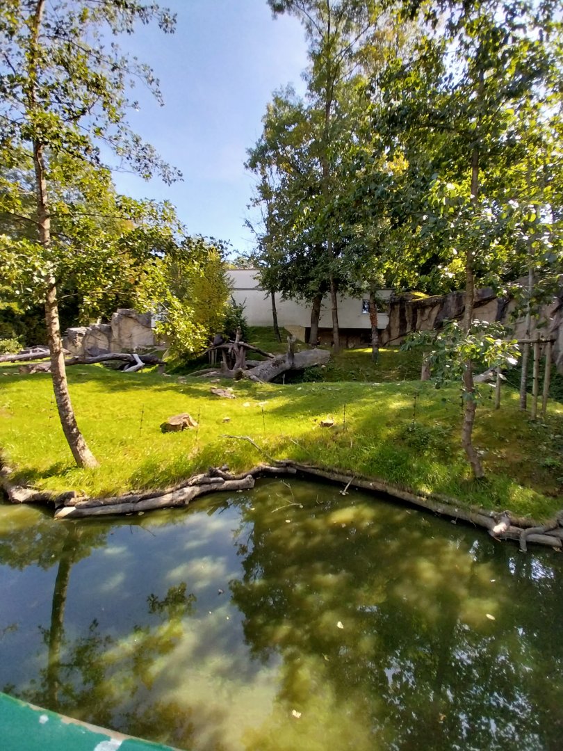 Western gorilla enclosure