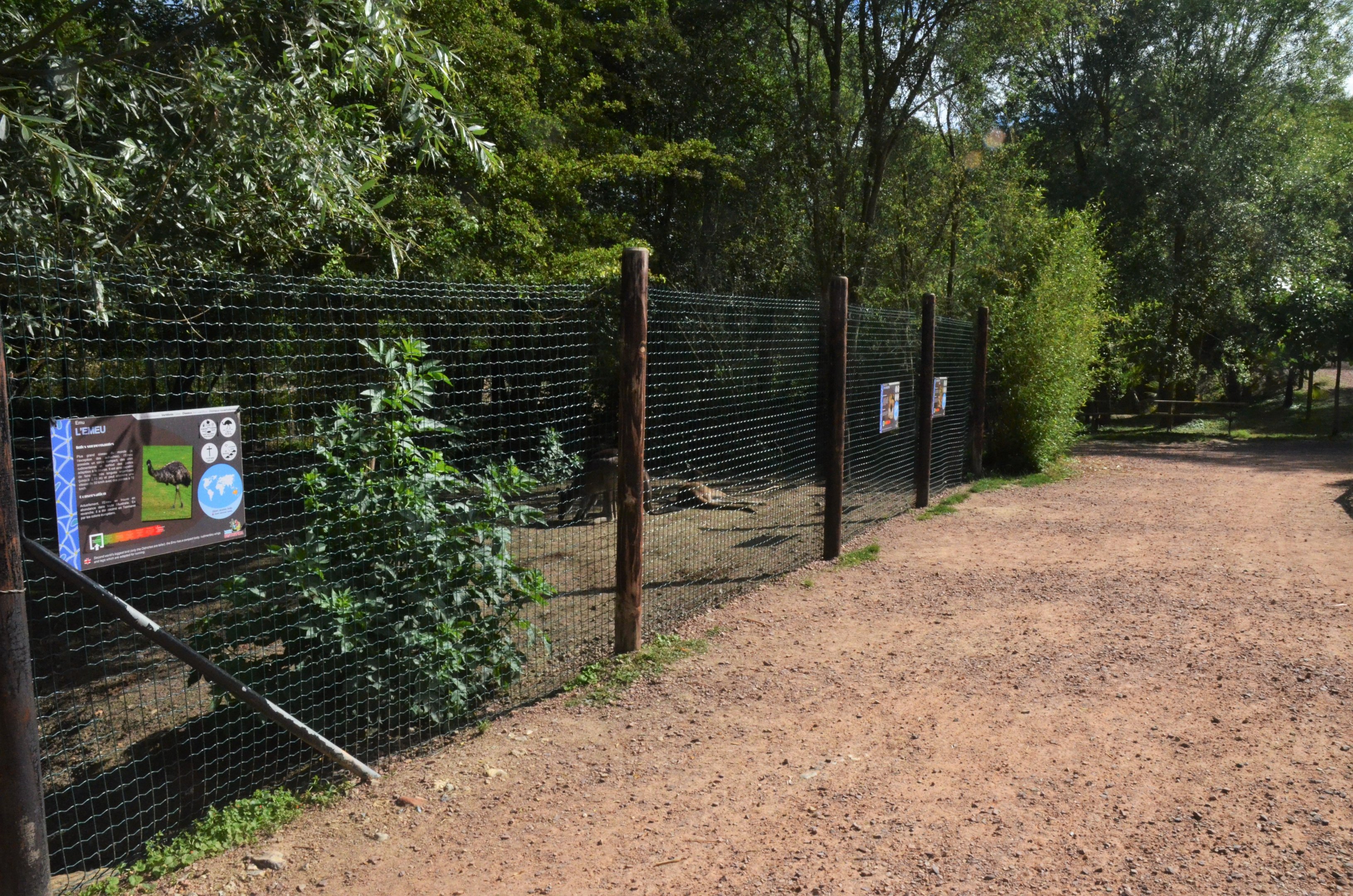 Western Grey Kangaroo and Emu Enclosure at Biotropica, 16/06/18