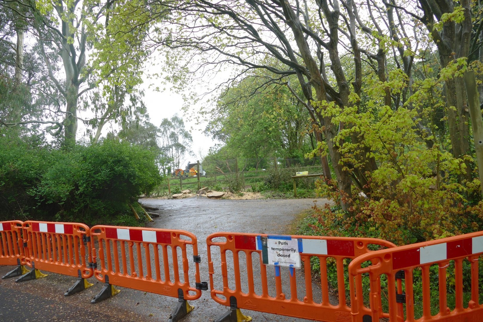 Western grey kangaroo enclosure, April 2019
