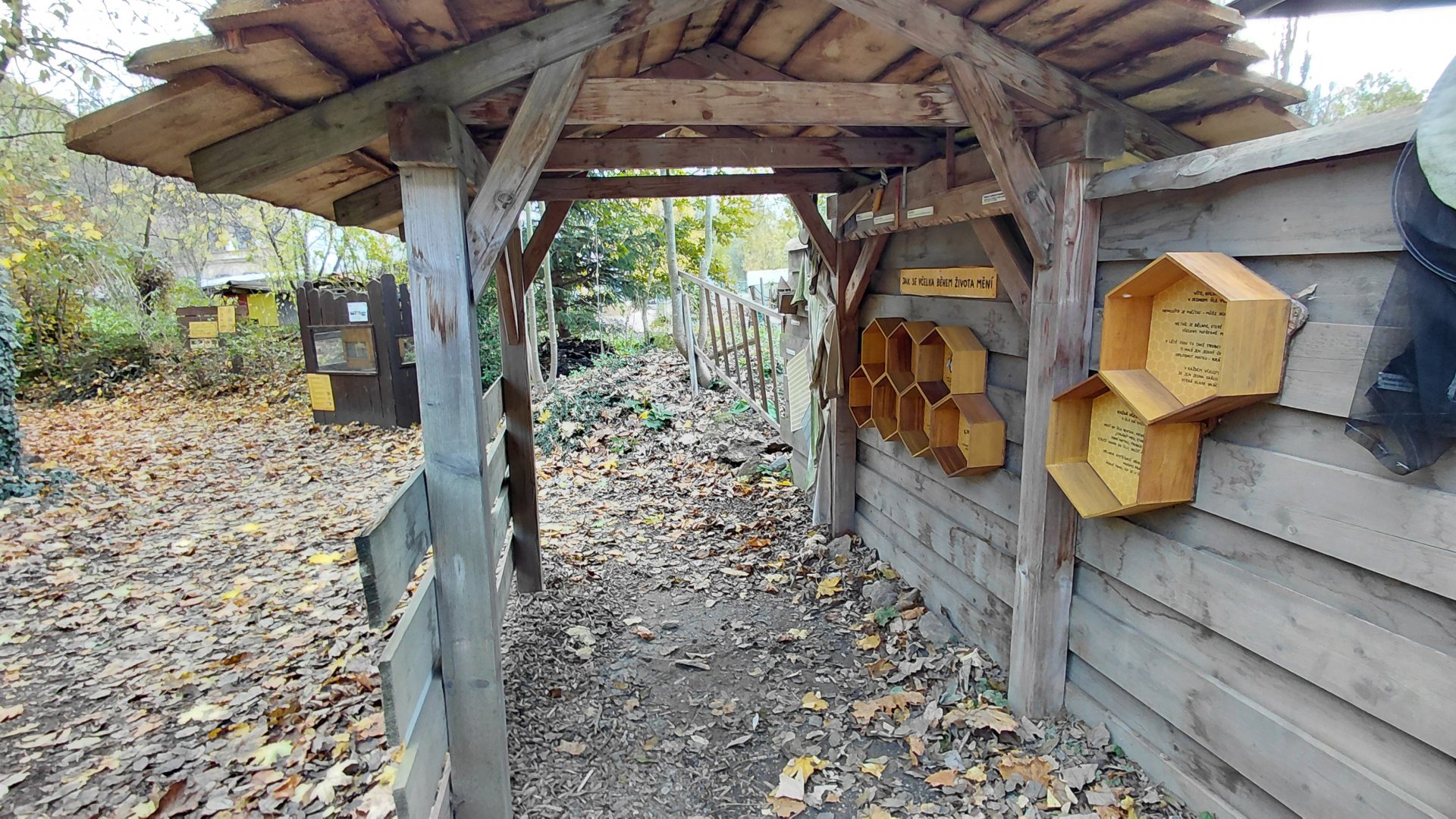 Western honey bee exhibit