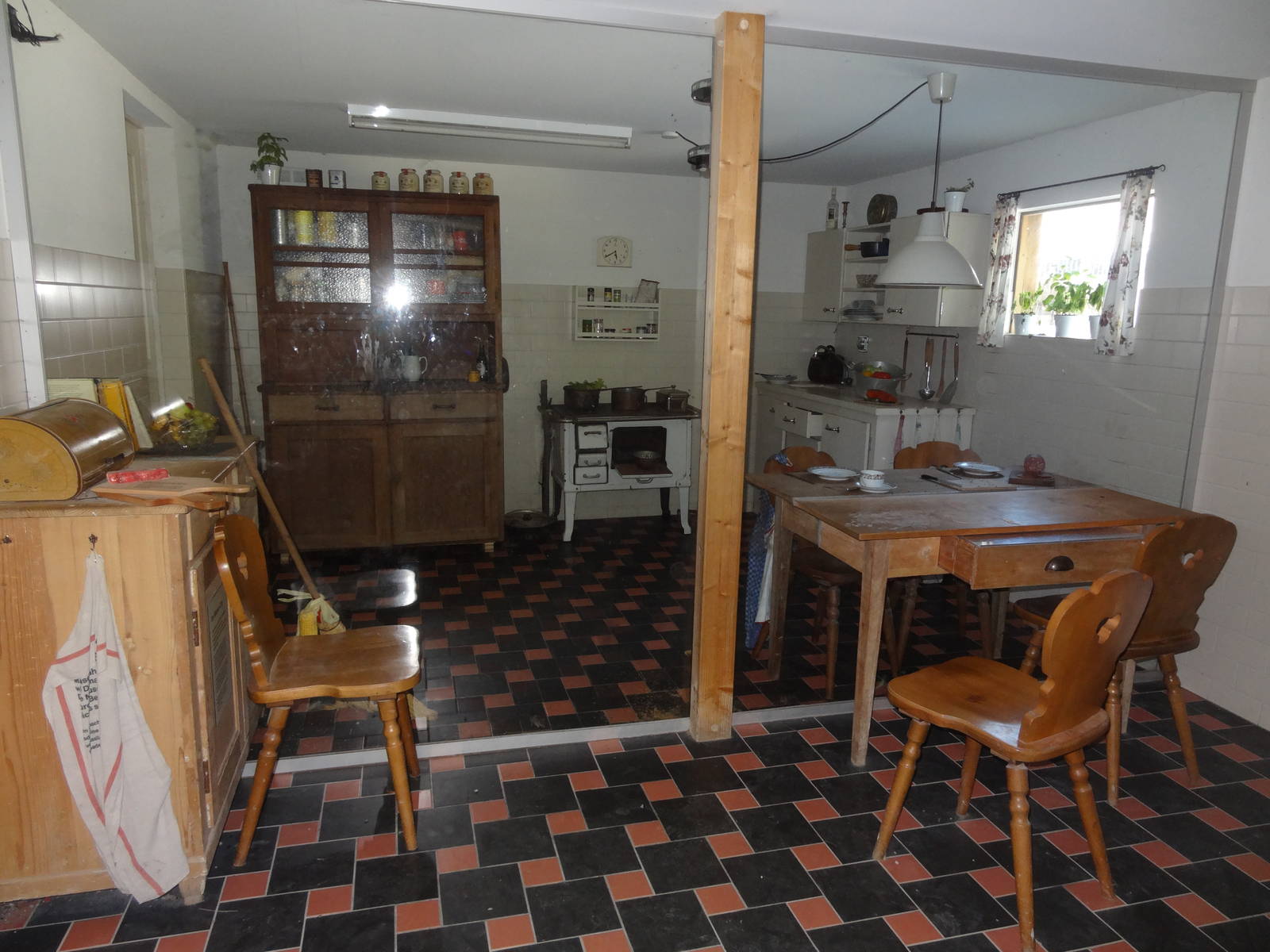 Western House Mouse Enclosure