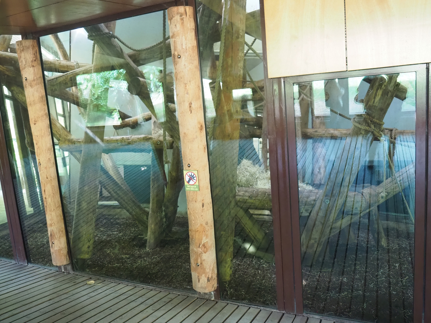 Western lowland gorilla and Black crested mangabey indoor exhibit, 2022-08-20