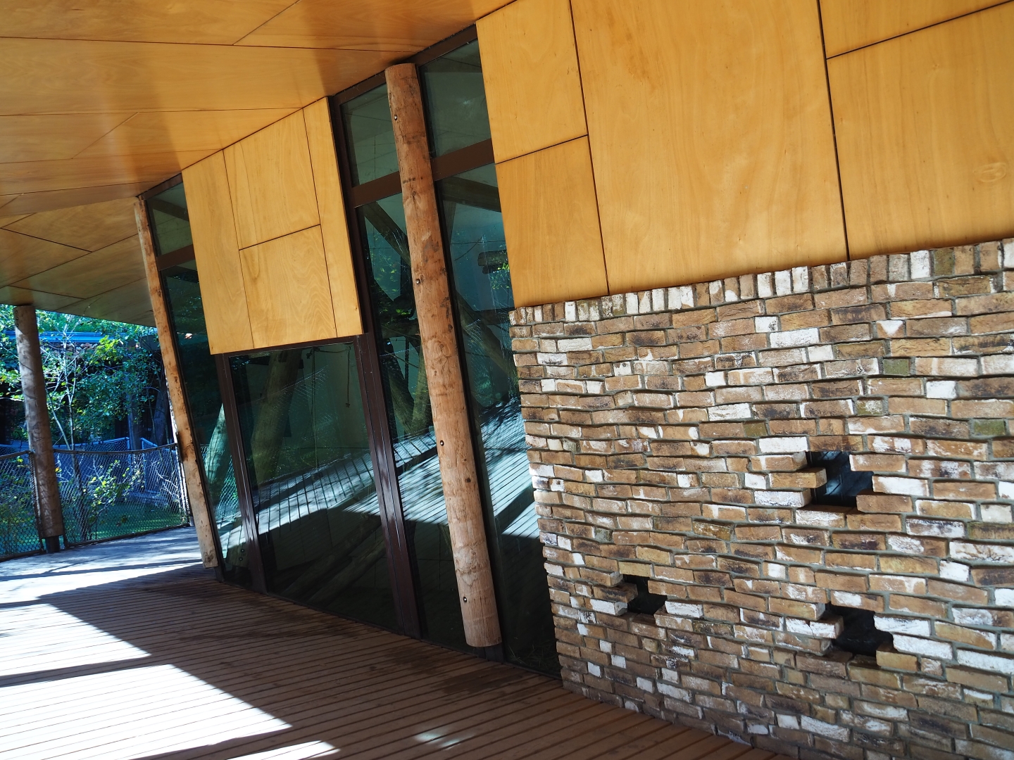 Western lowland gorilla and Black crested mangabey indoor housing viewing (Oct 13th, 2018)