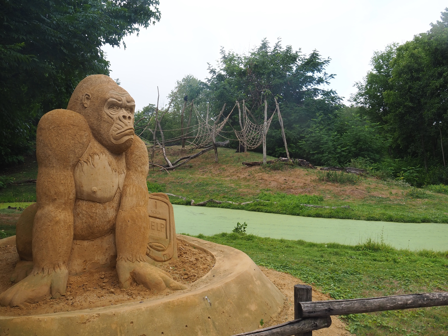 Western lowland gorilla and Black crested mangabey island and Gorilla sand sculpture, 2022-08-20