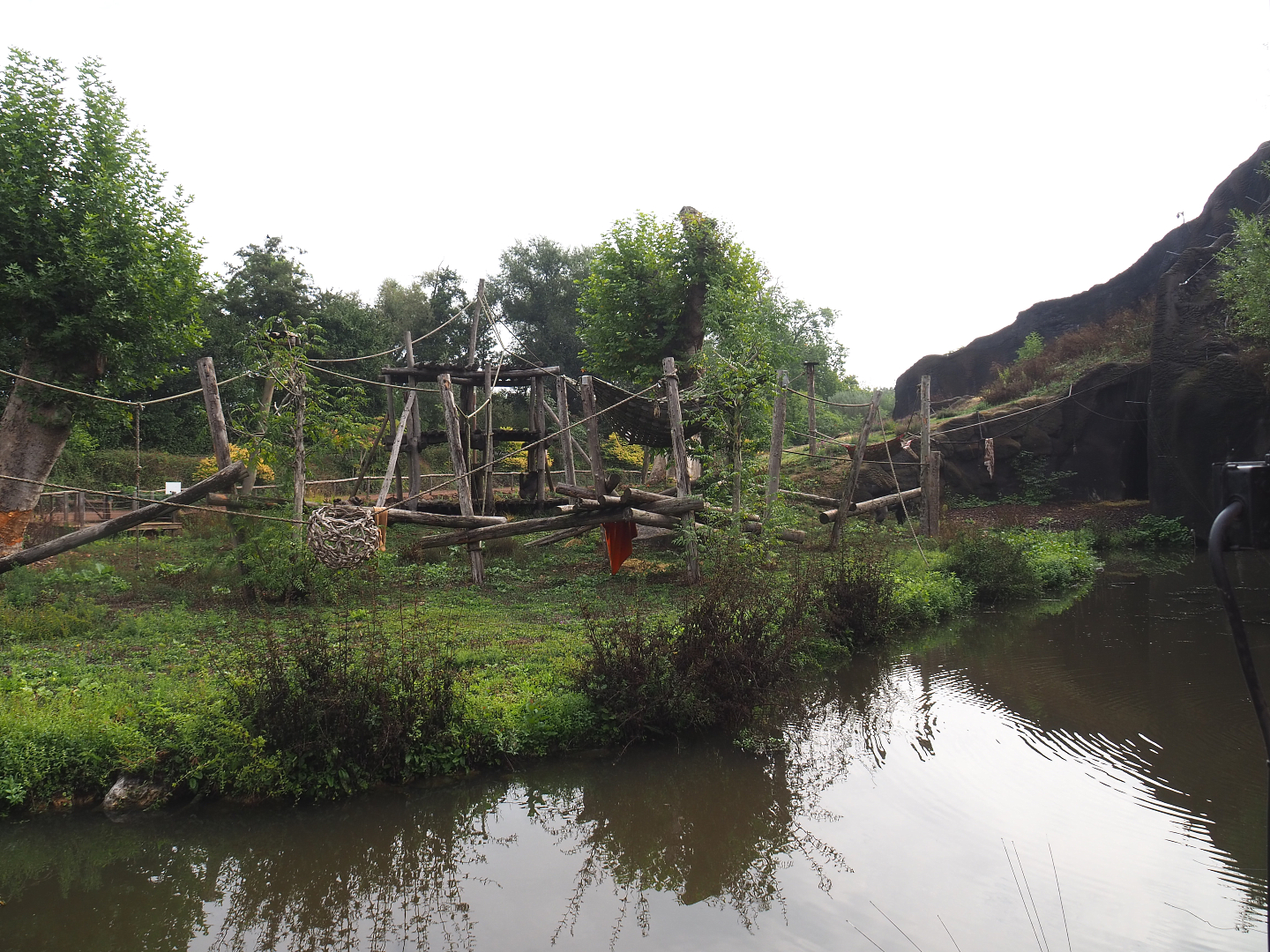 Western lowland gorilla and Black crested mangabey island, seen from lemur island, 2022-09-15