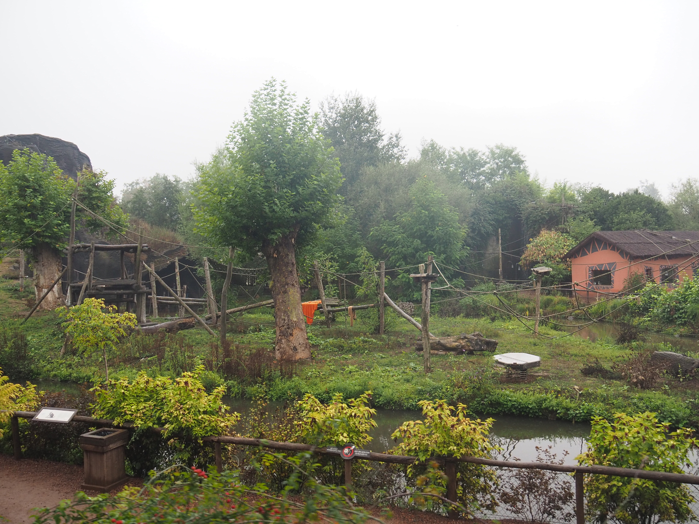 Western lowland gorilla and Black crested mangabey island seen from the train, 2022-09-14