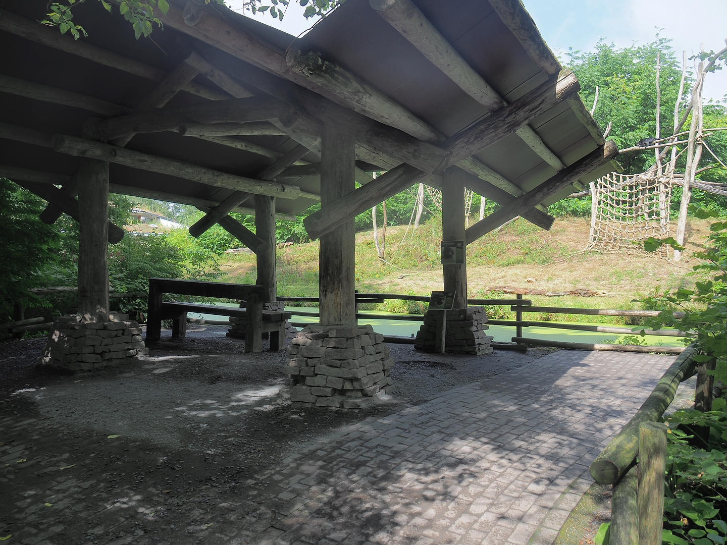 Western lowland gorilla and Black crested mangabey island viewing area, 2022-08-20