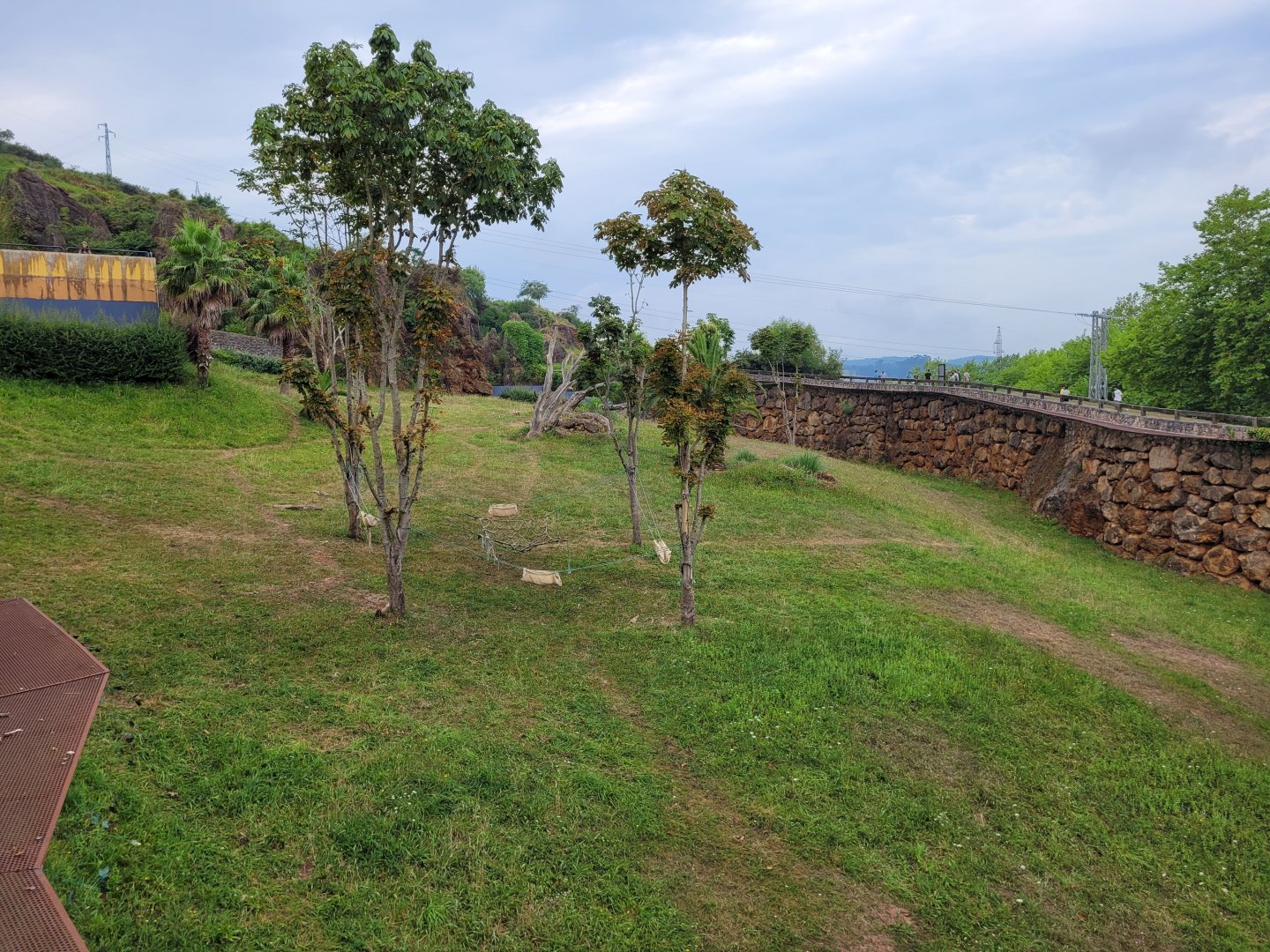 Western lowland gorilla and DeBrazza's monkey exhibit -Parque de la Naturaleza de Cabárceno (2022)