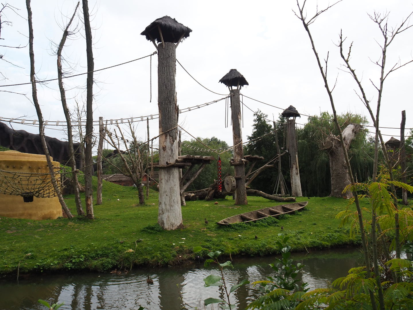 Western lowland gorilla and Kikuyu colobus island, 2019-10-04