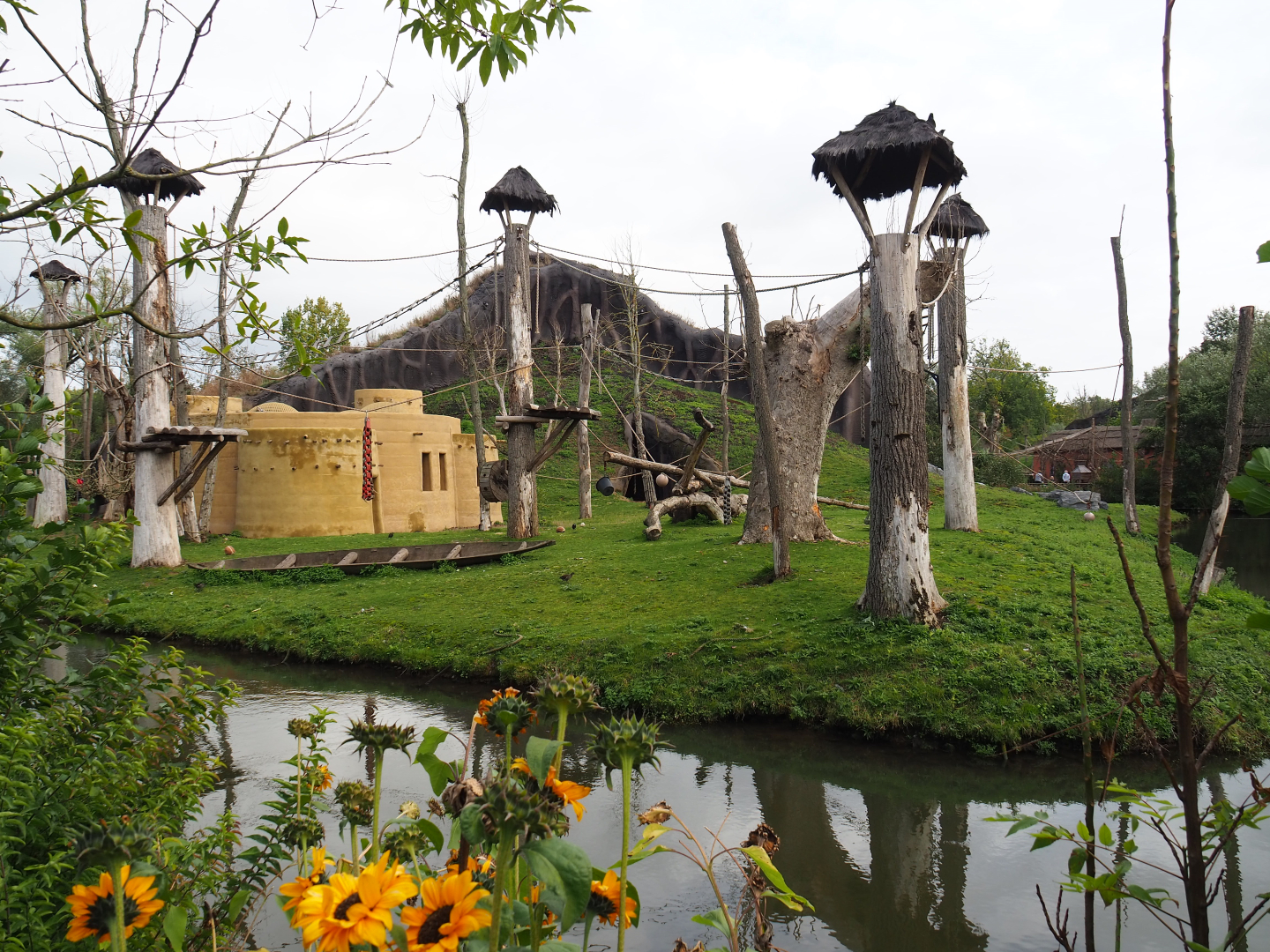 Western lowland gorilla and Kikuyu colobus island, 2019-10-04