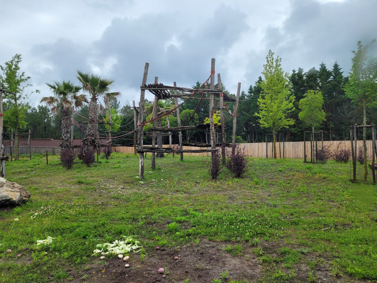 Western lowland gorilla and Kikuyu guereza exhibit -Zoo du bassin d'Arcachon (2024)