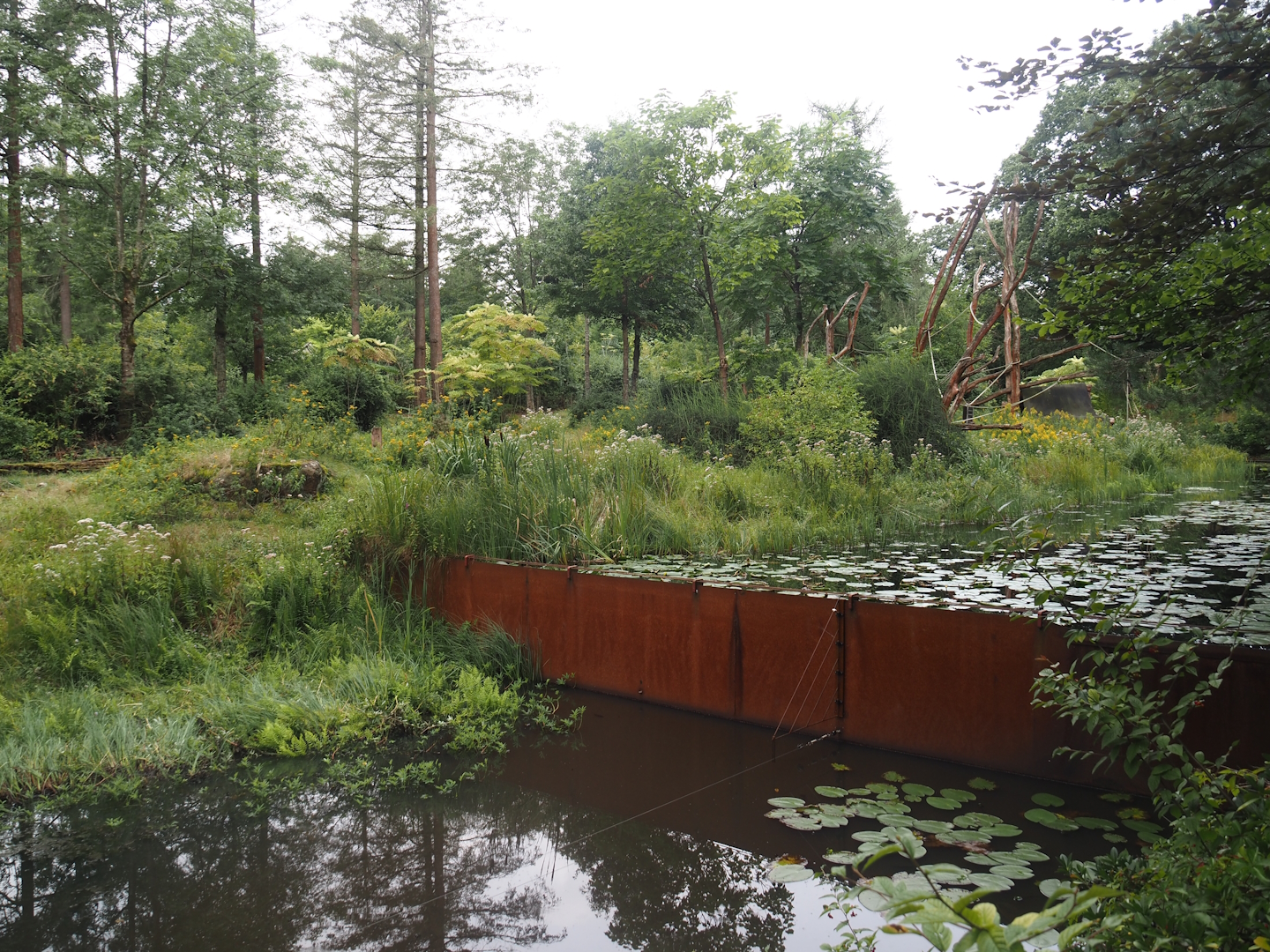 Western lowland gorilla and L'Hoëst's guenon island, 2024-08-18