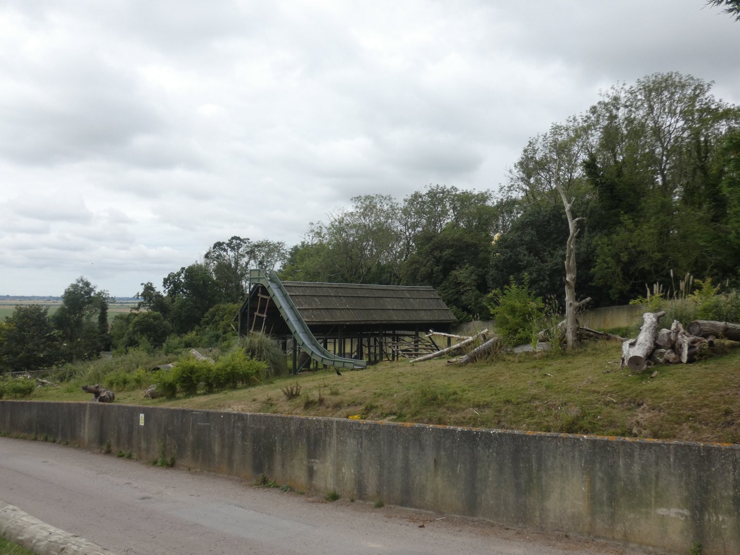 Western Lowland Gorilla bachelor enclosure (2)