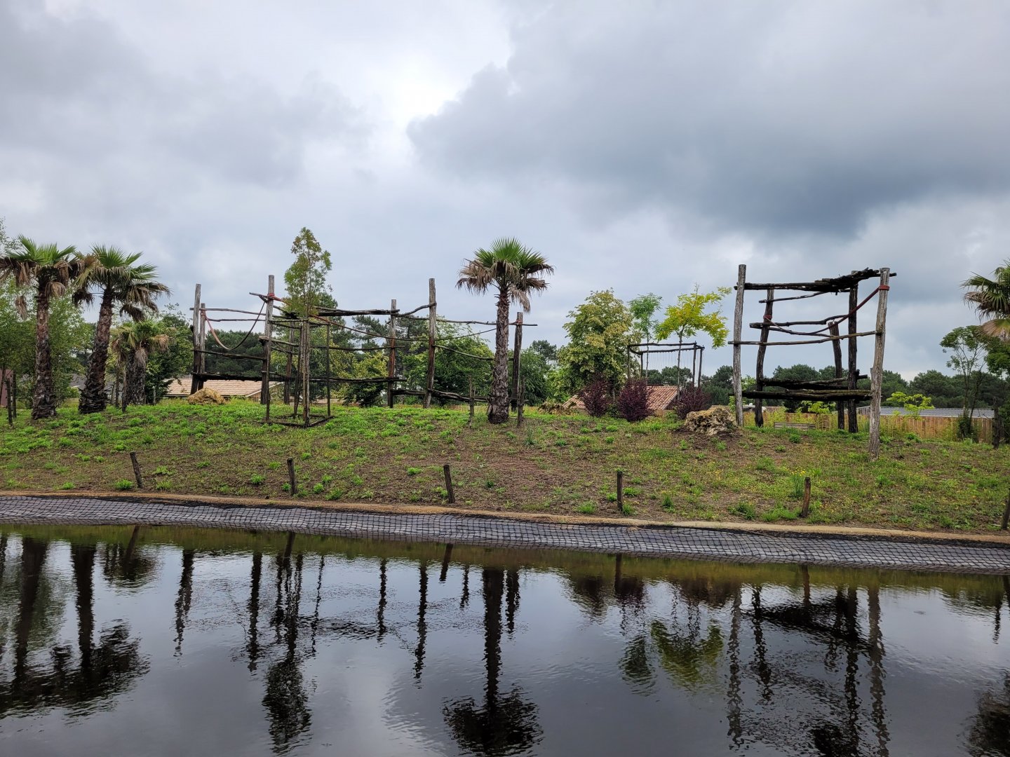 Western lowland gorilla, Black crested mangabey and Red-tailed moustached monkey exhibit -Zoo du bassin d'Arcachon (2024)